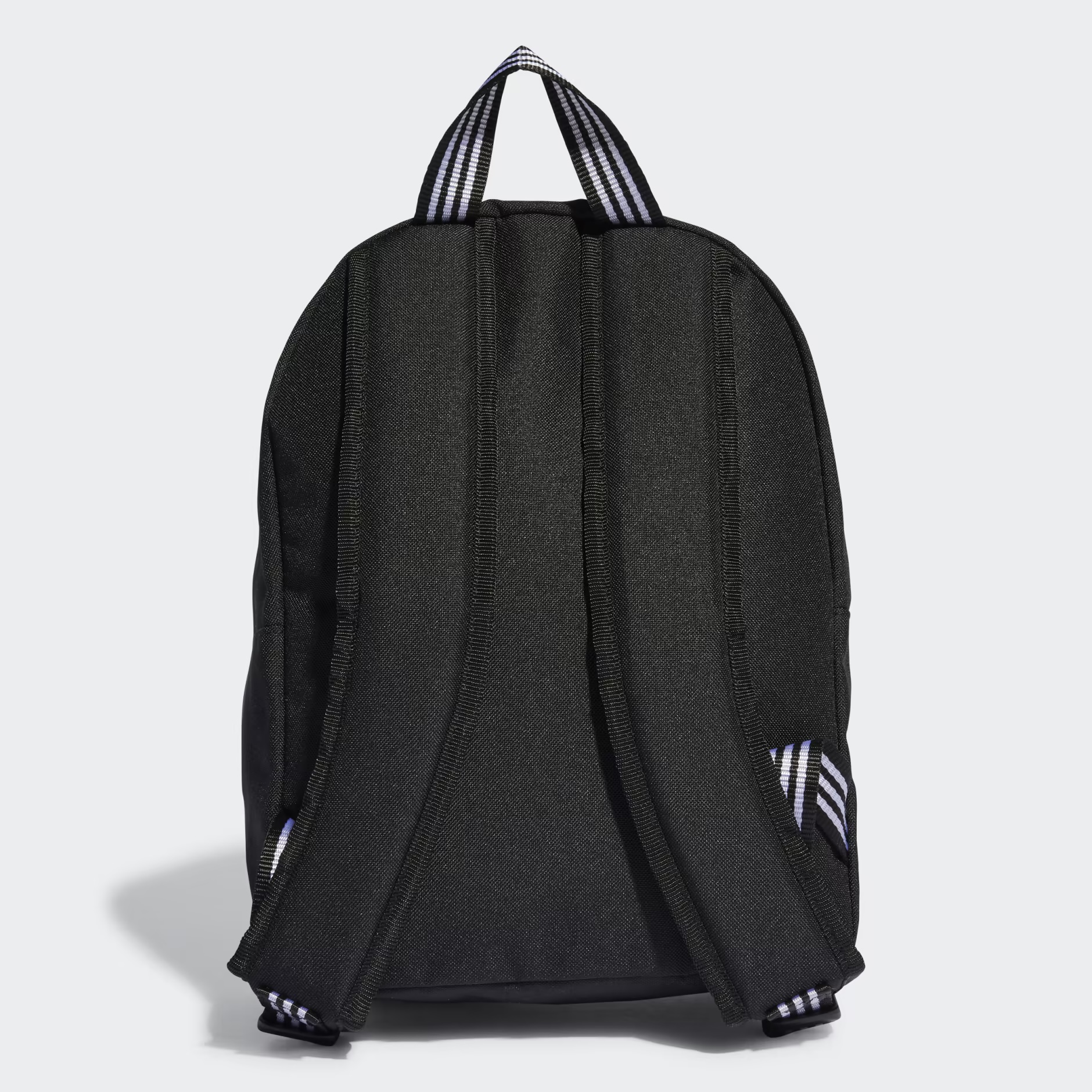 Back panel and straps