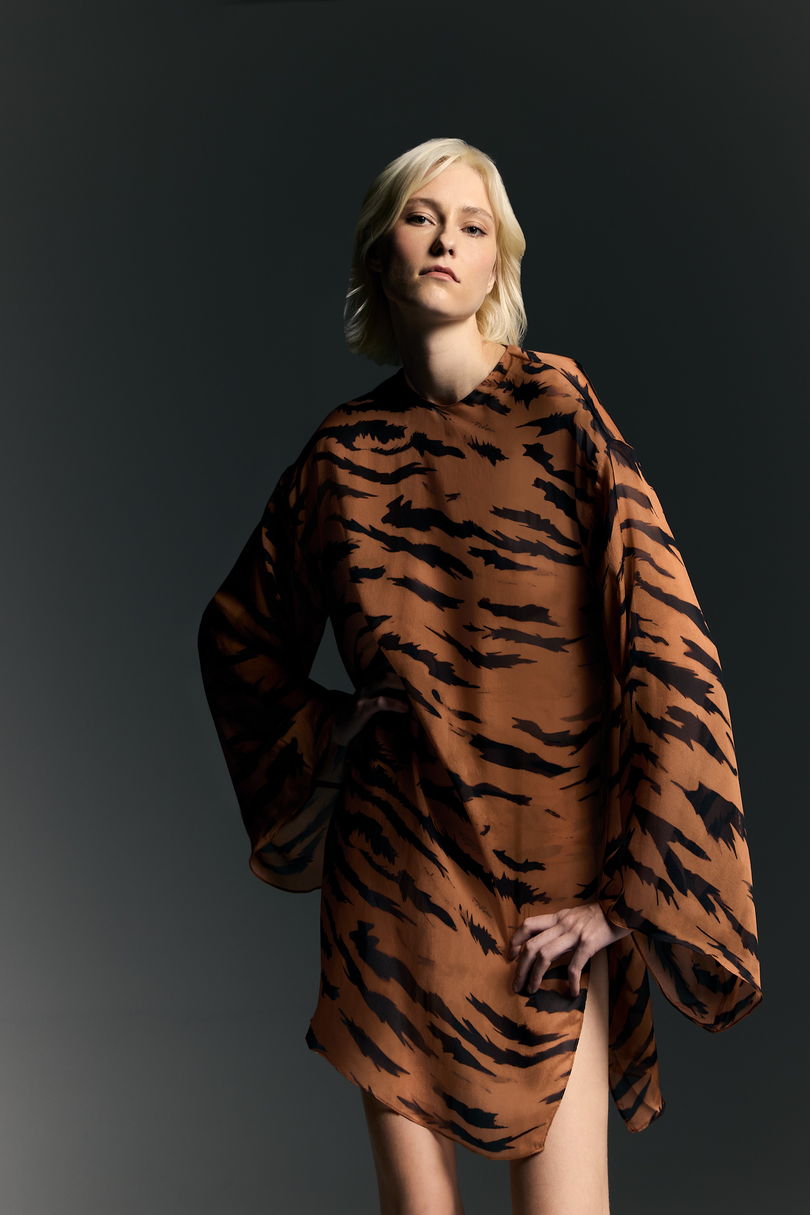 Wide Sleeve Silk Mini Dress