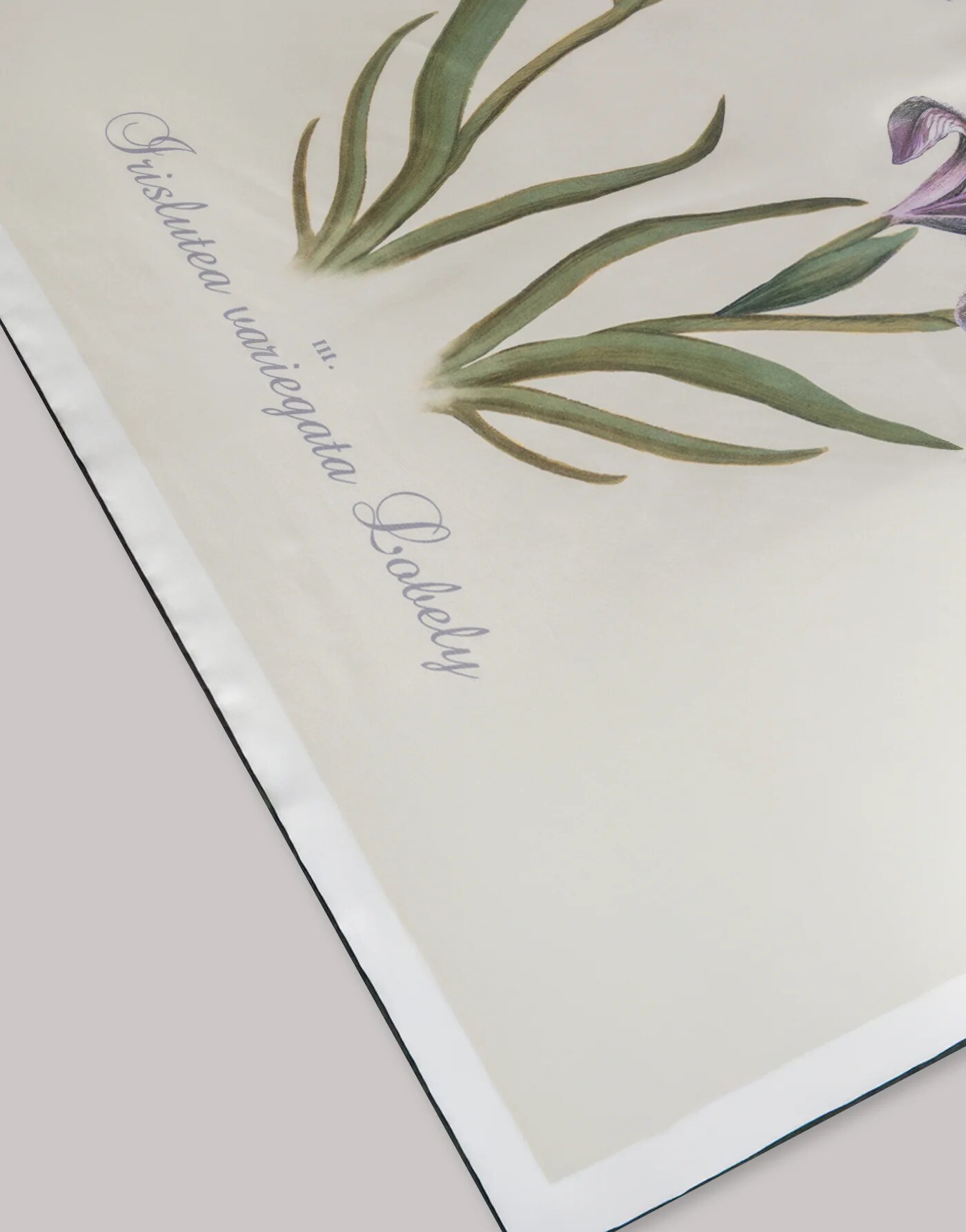 Silk scarf with thistle print — back/detail view