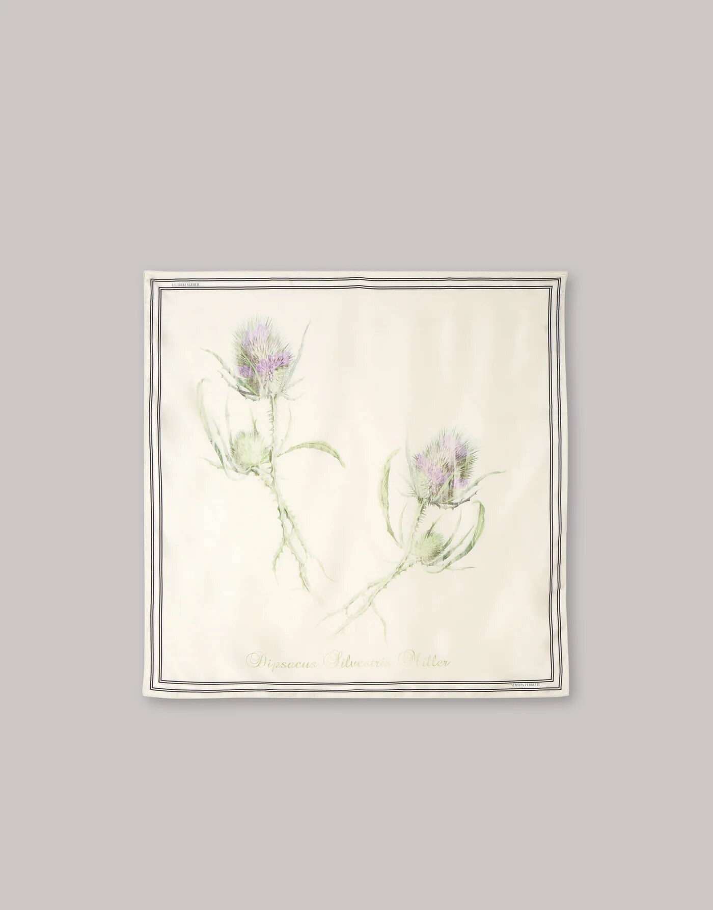 Silk scarf with thistle print — material or colour variant
