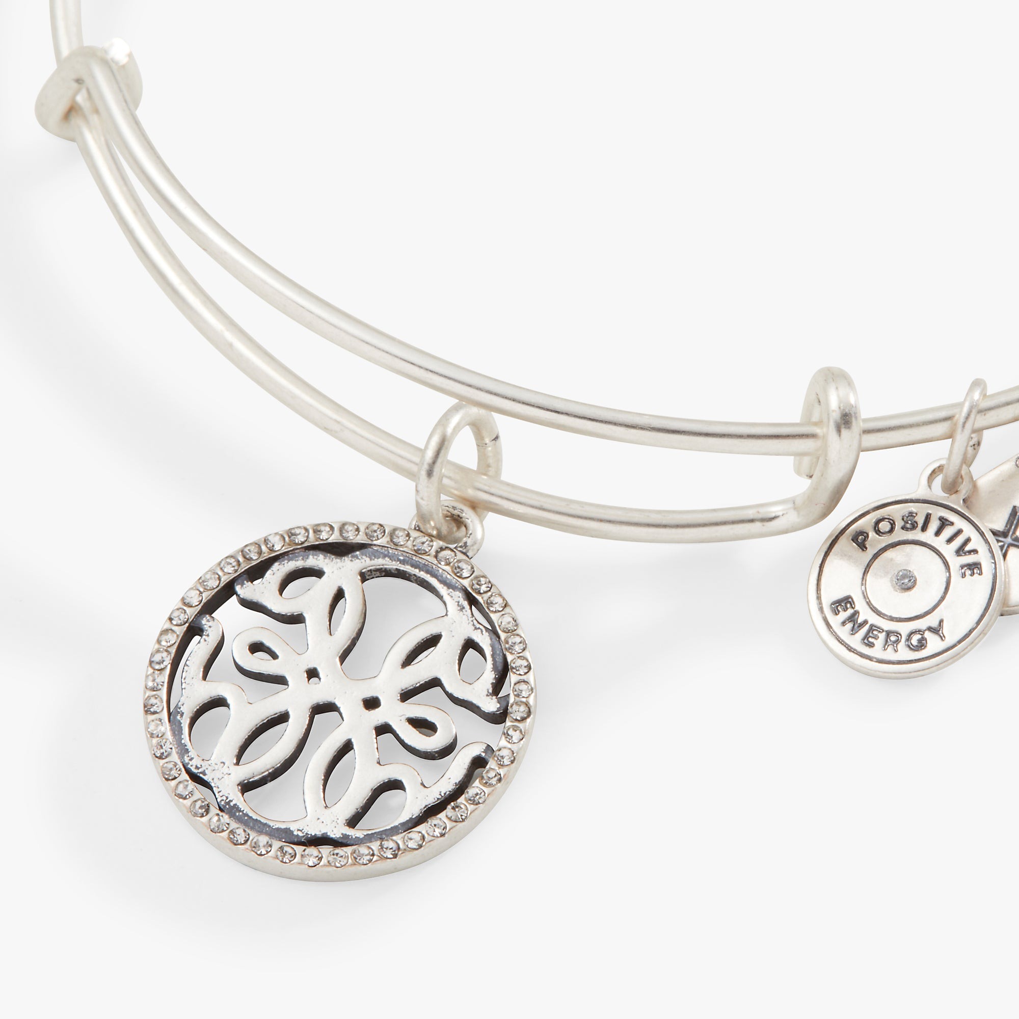 ALEX AND ANI