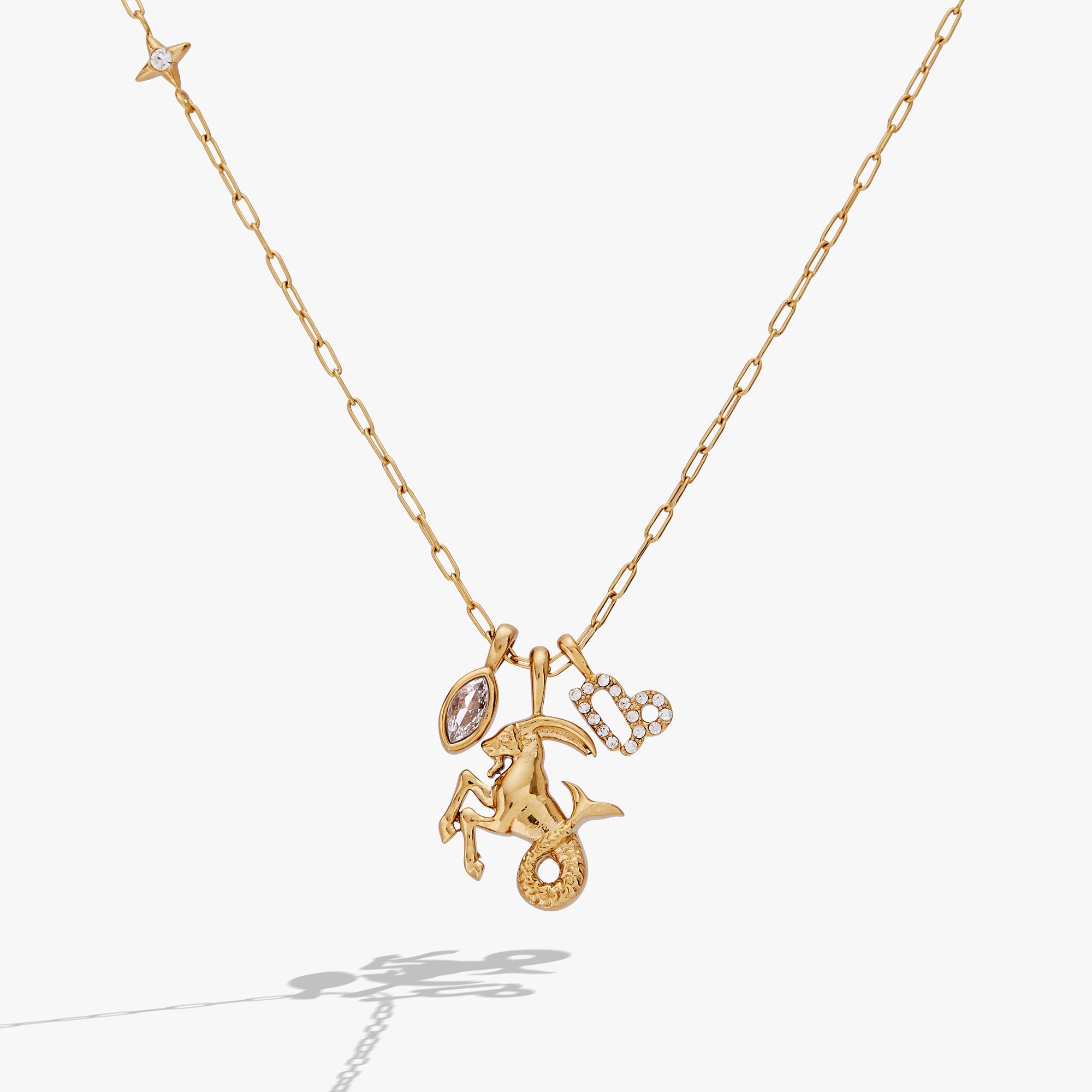 Zodiac Charm Cluster Necklace