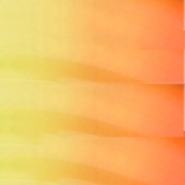 official detail view