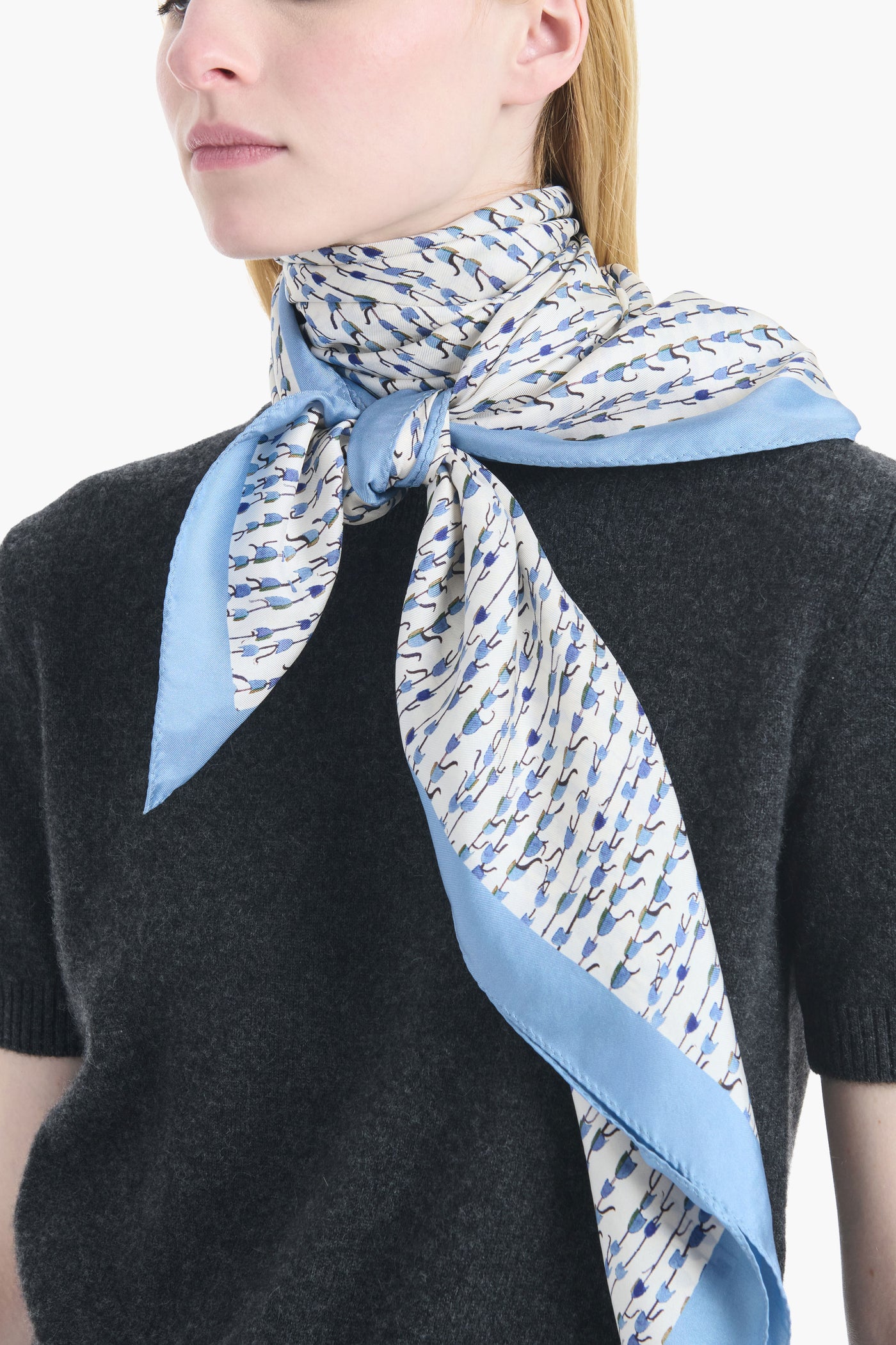 Additional official product-family view