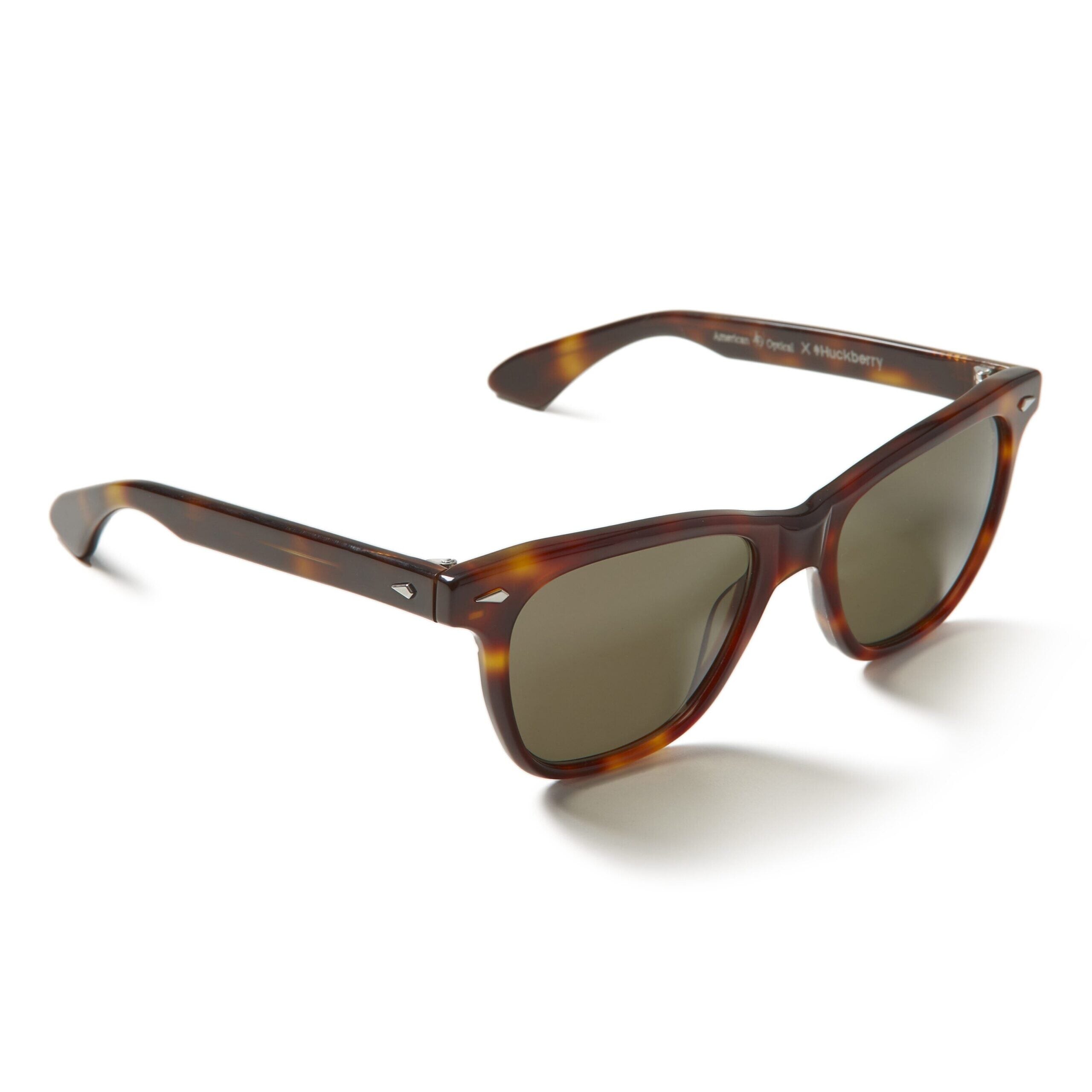 Tortoise three-quarter view