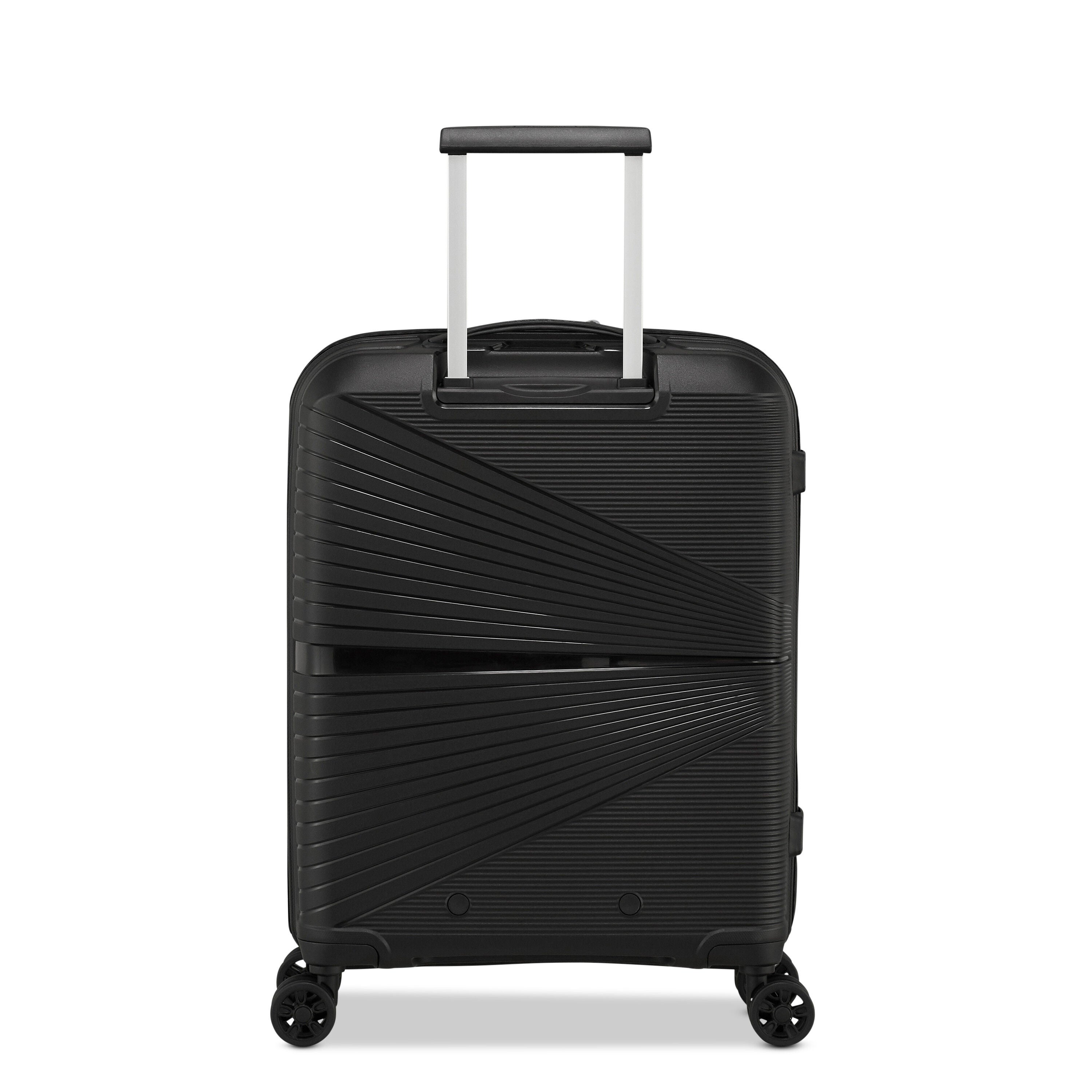Back view with ribbed shell texture