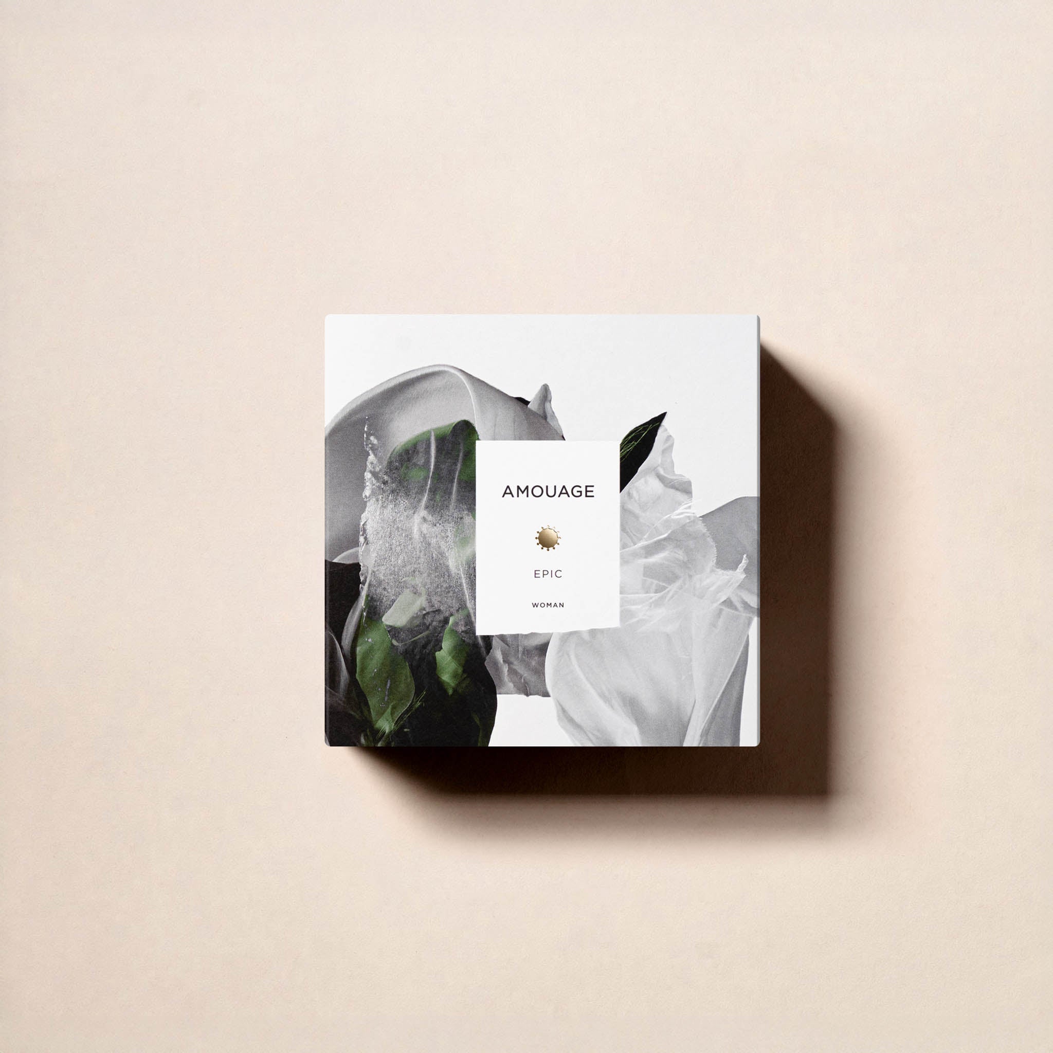 Epic Woman presentation box