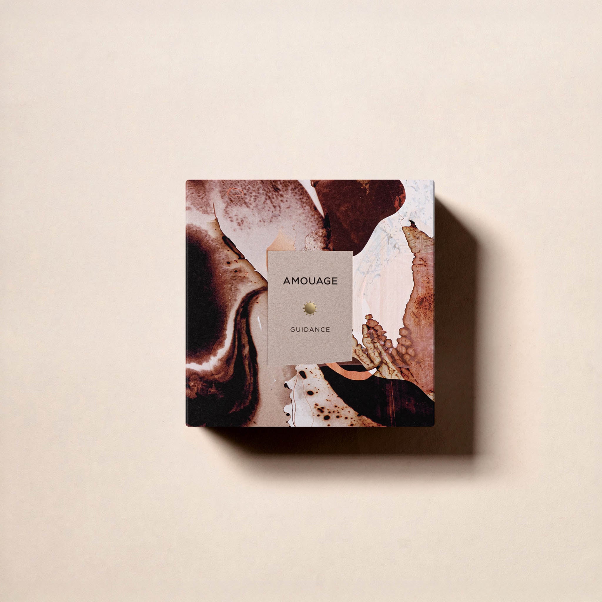 Guidance presentation box