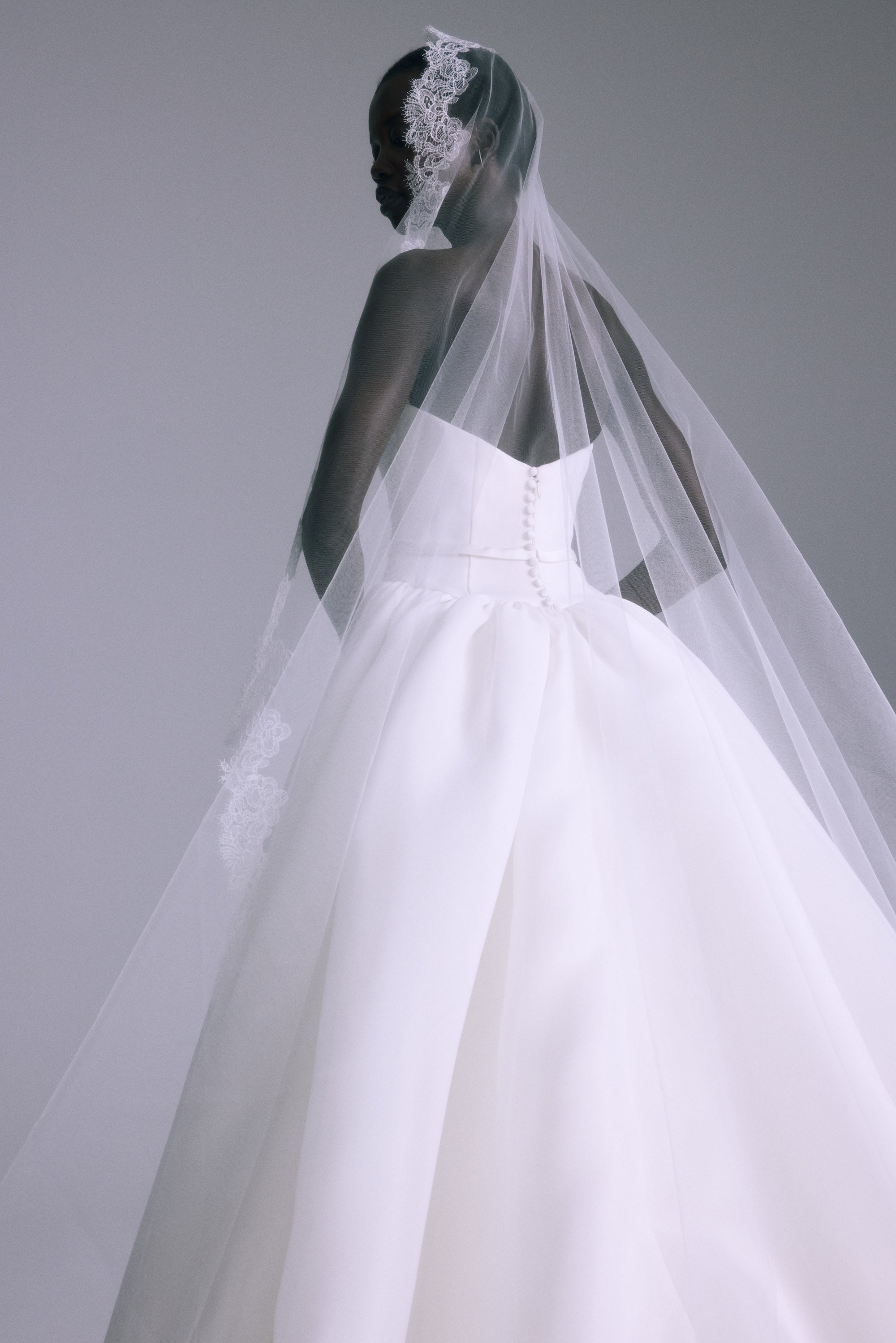 Delicate Lace Trimmed Veil