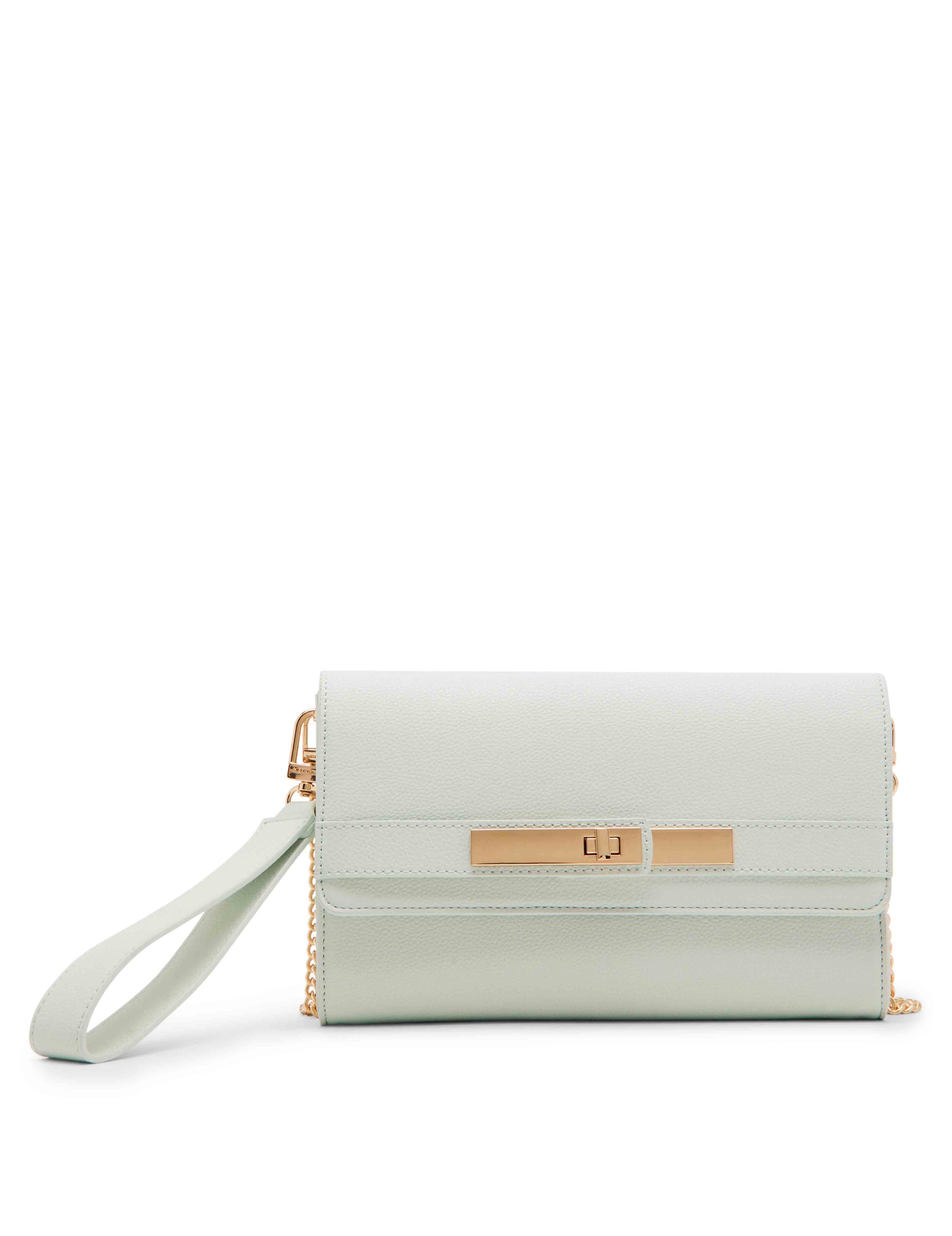 Belted Wallet on a Chain — official detail or alternate angle