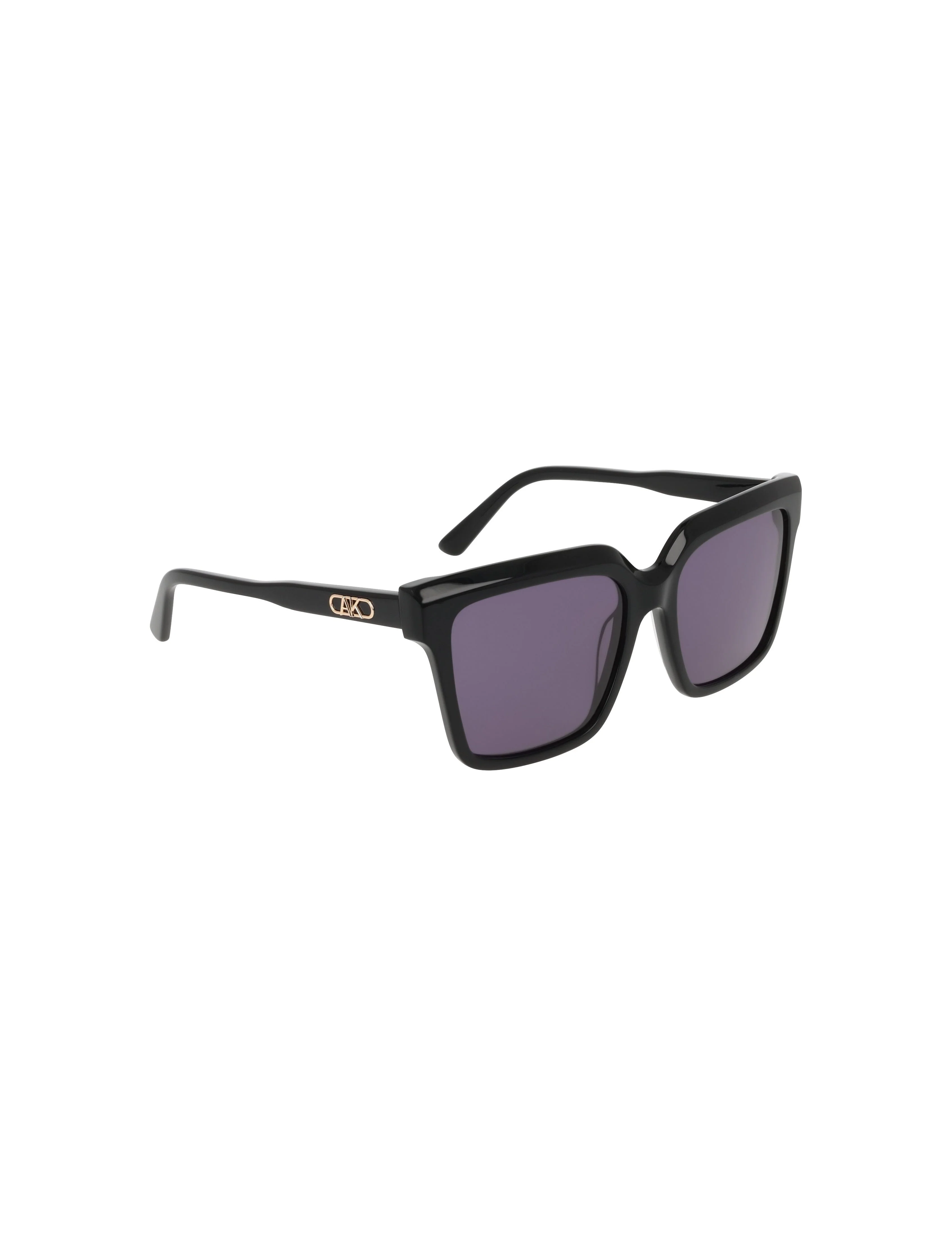 Square Acetate Sunglasses — official product image