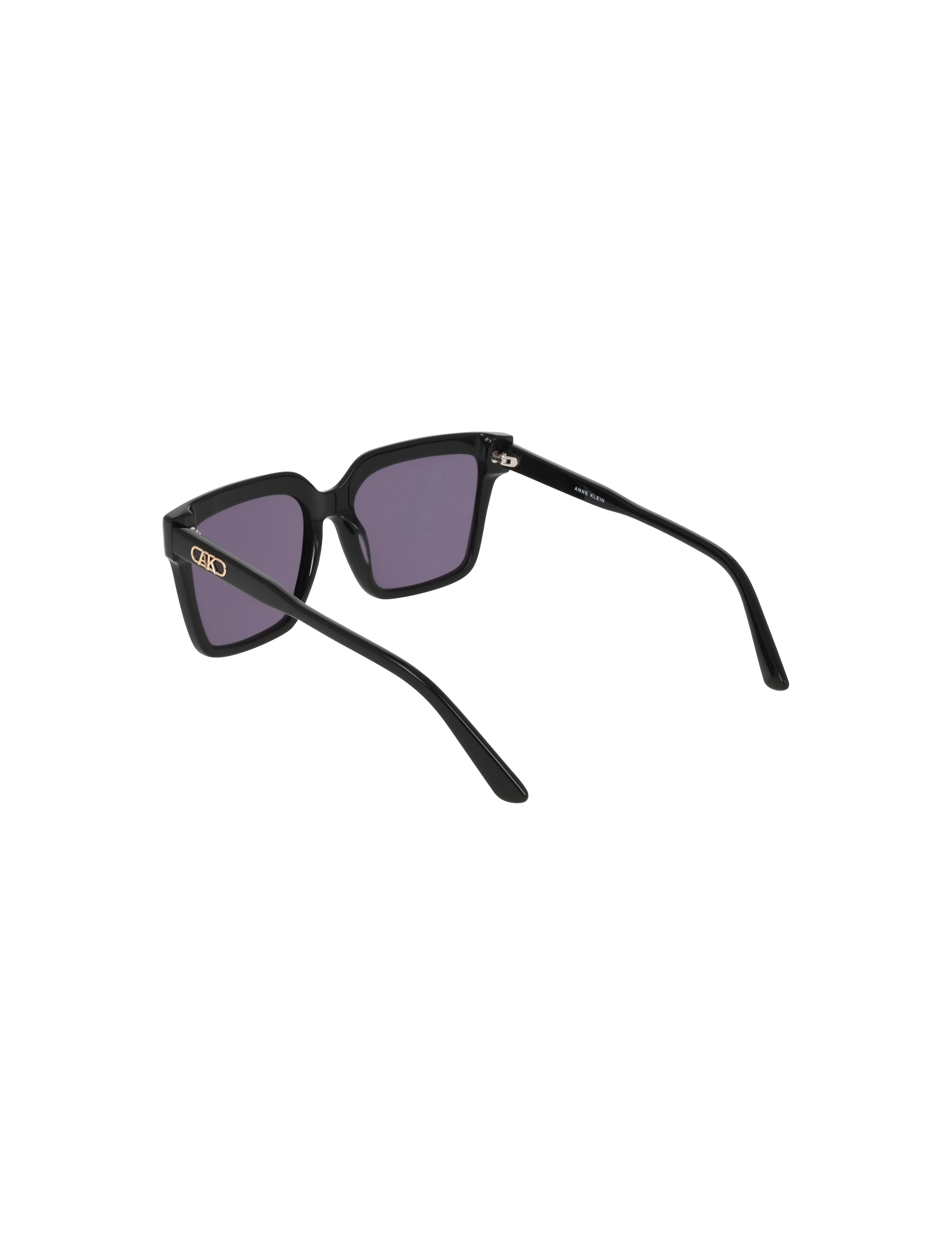 Square Acetate Sunglasses — official detail or alternate angle
