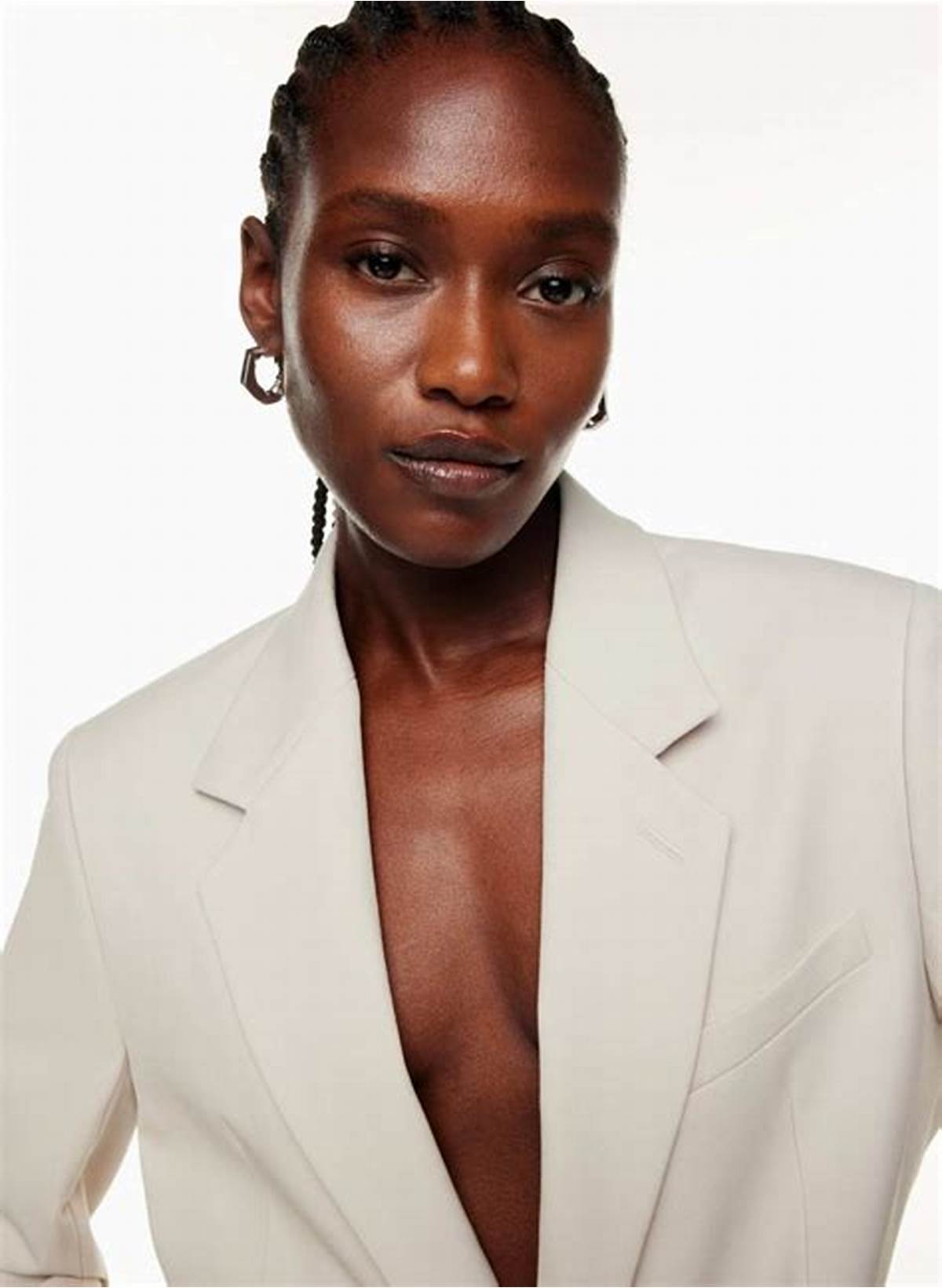 Babaton AGENCY BLAZER | Aritzia US