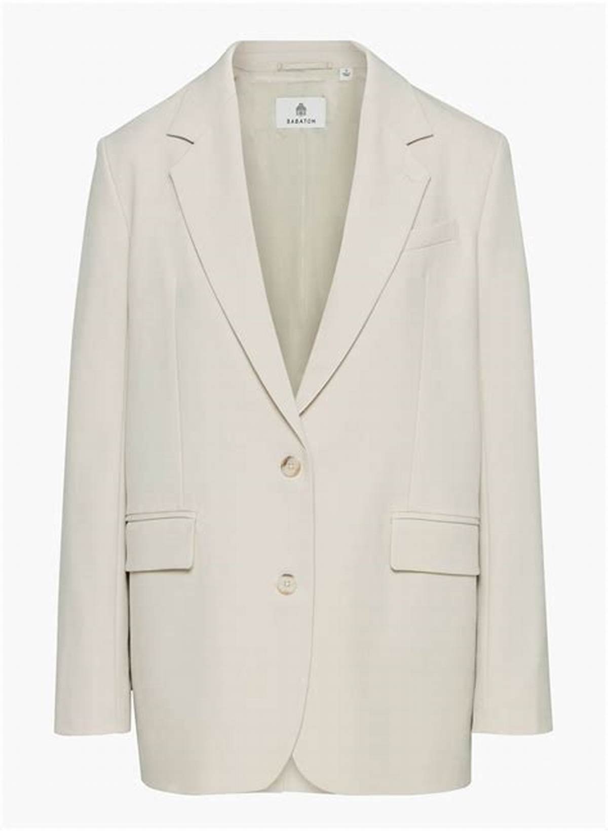 Babaton AGENCY BLAZER | Aritzia US
