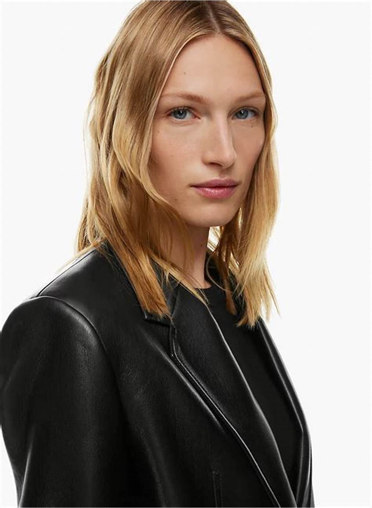 Babaton AGENCY BLAZER | Aritzia US
