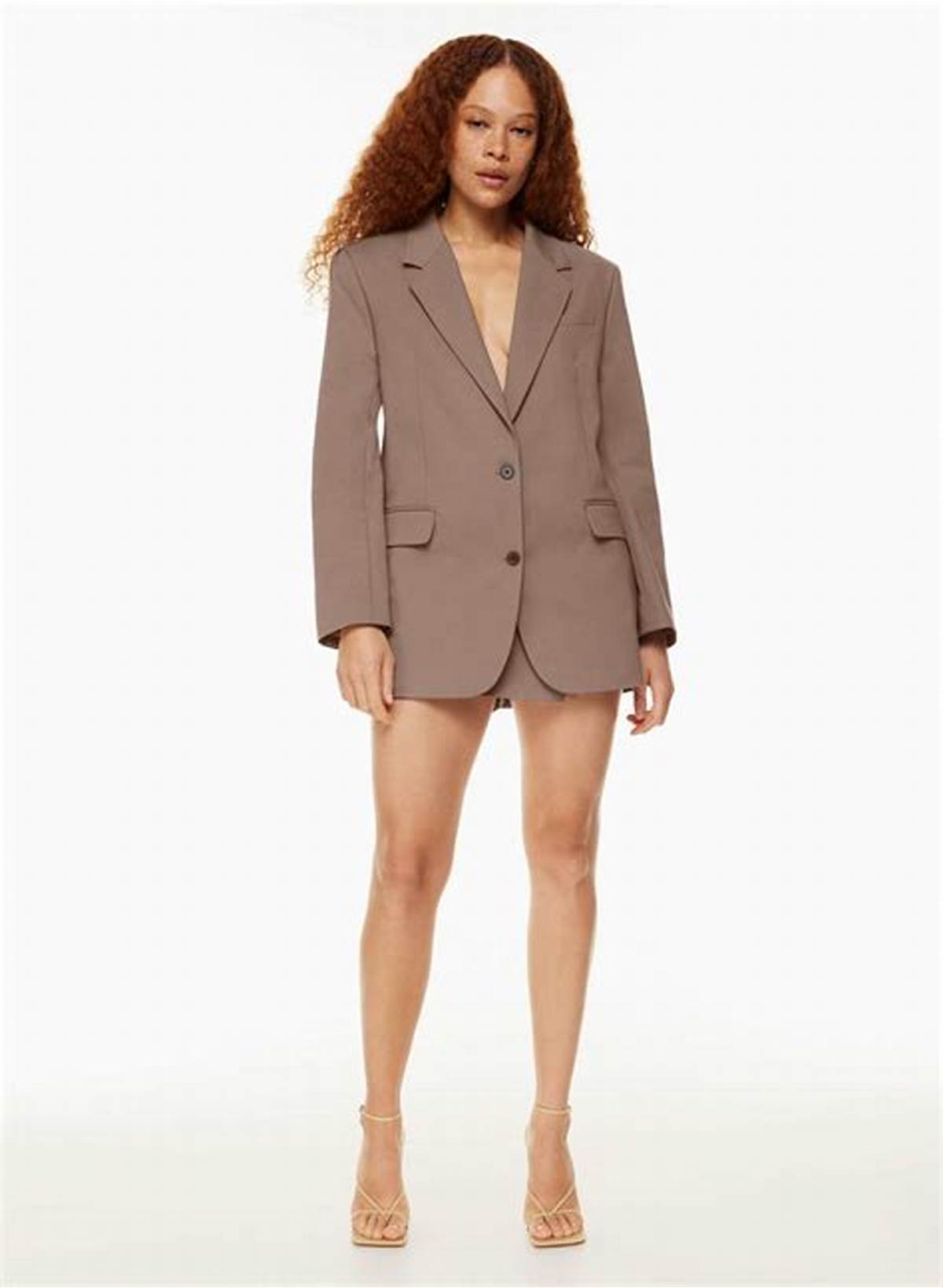 Babaton AGENCY BLAZER | Aritzia US