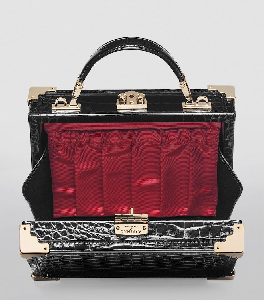 Velvet and croc trunk open