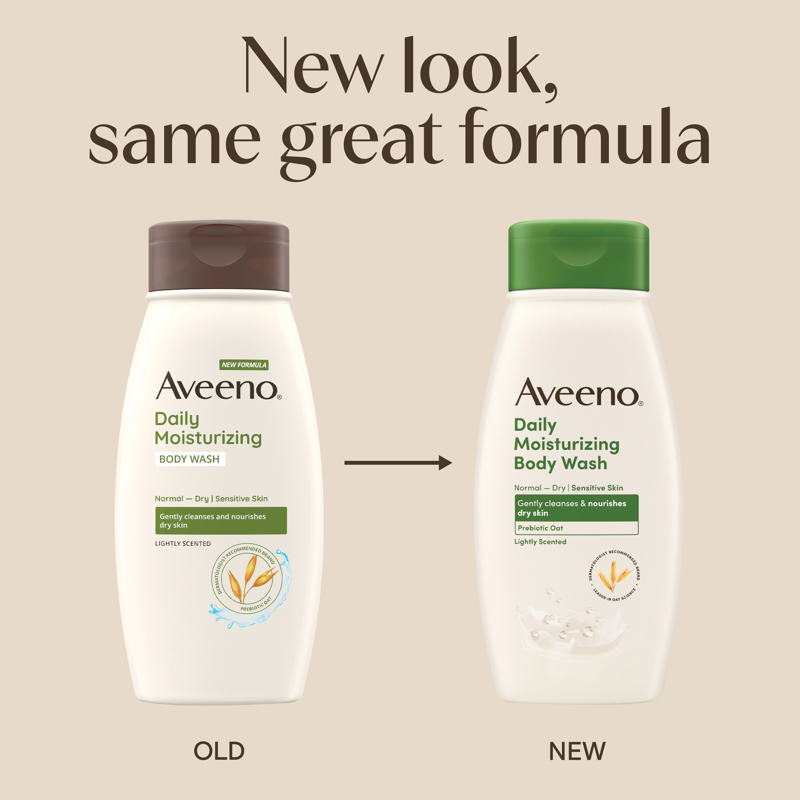 daily body wash product line