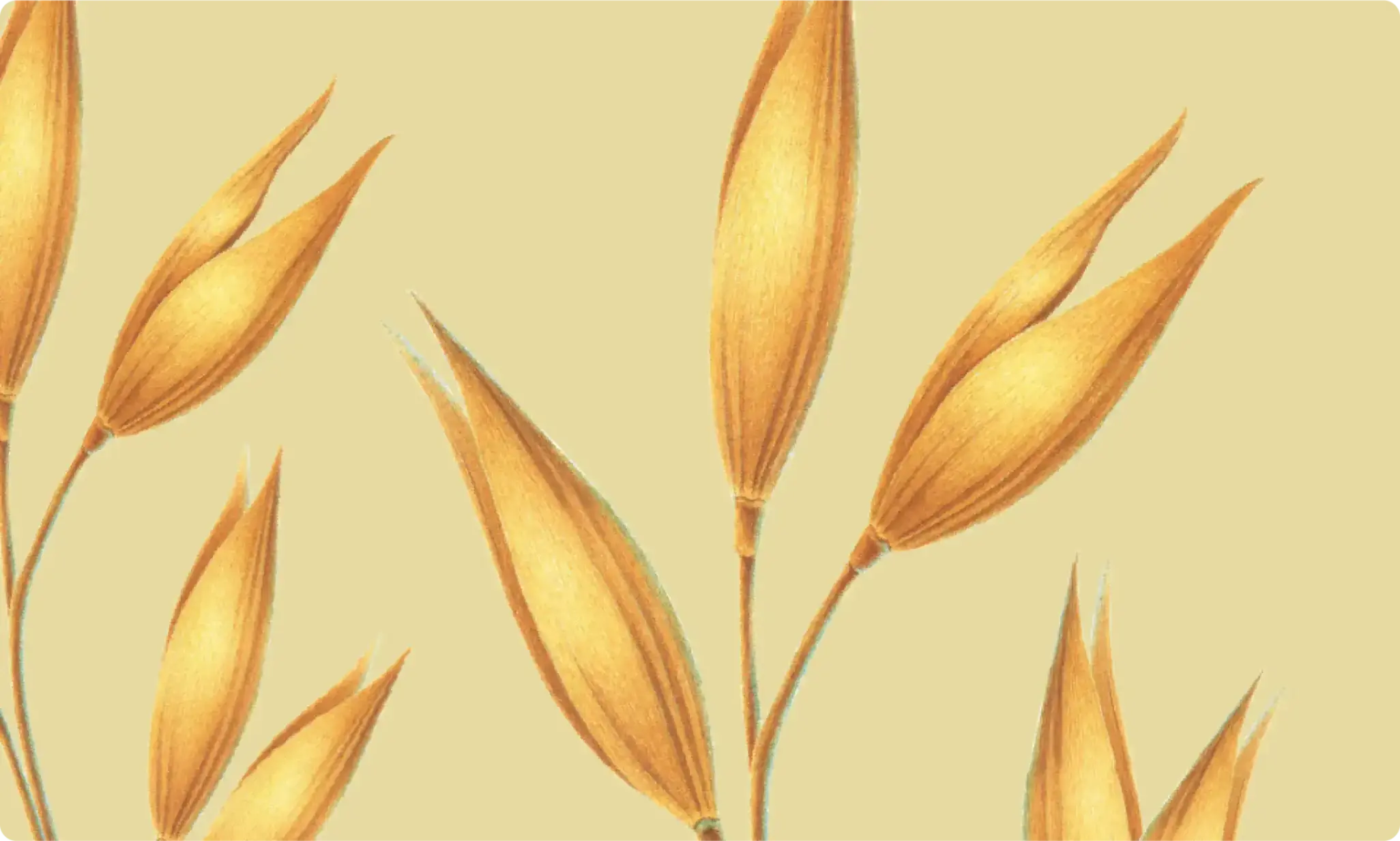 lavender-and-oat ingredients panel