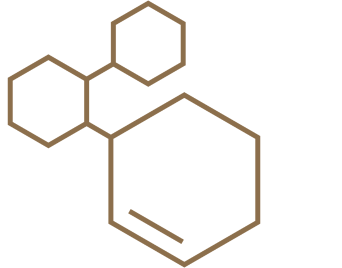back label detail