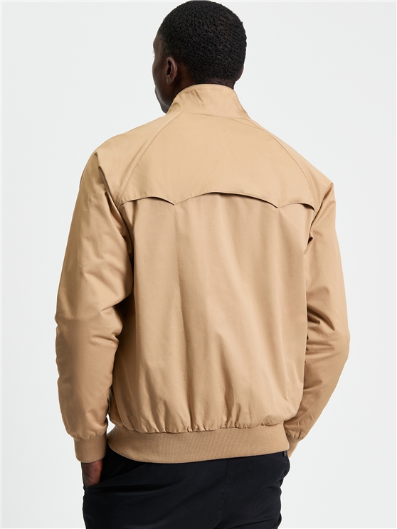 back view
