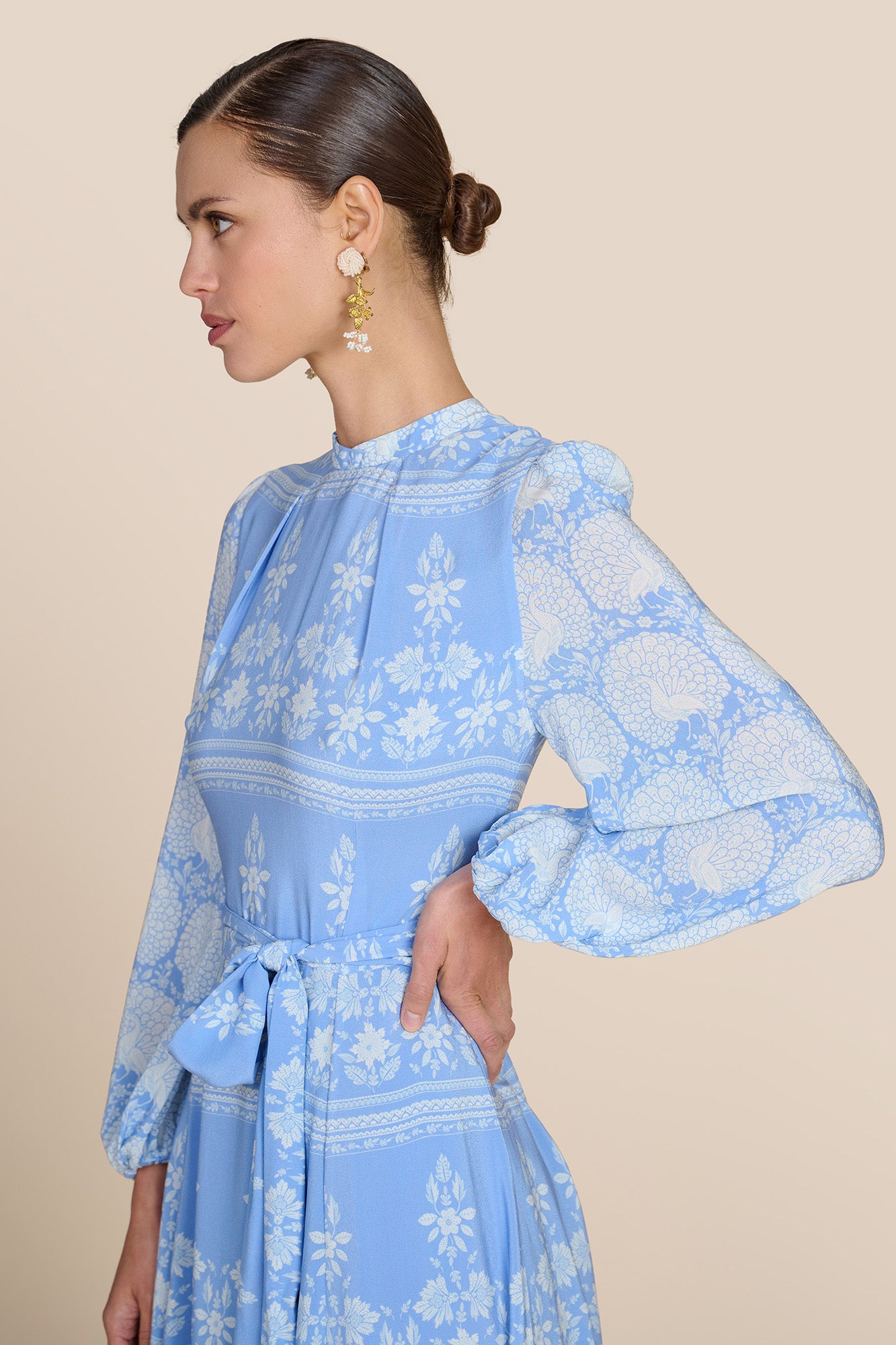 blouson sleeve and collar detail