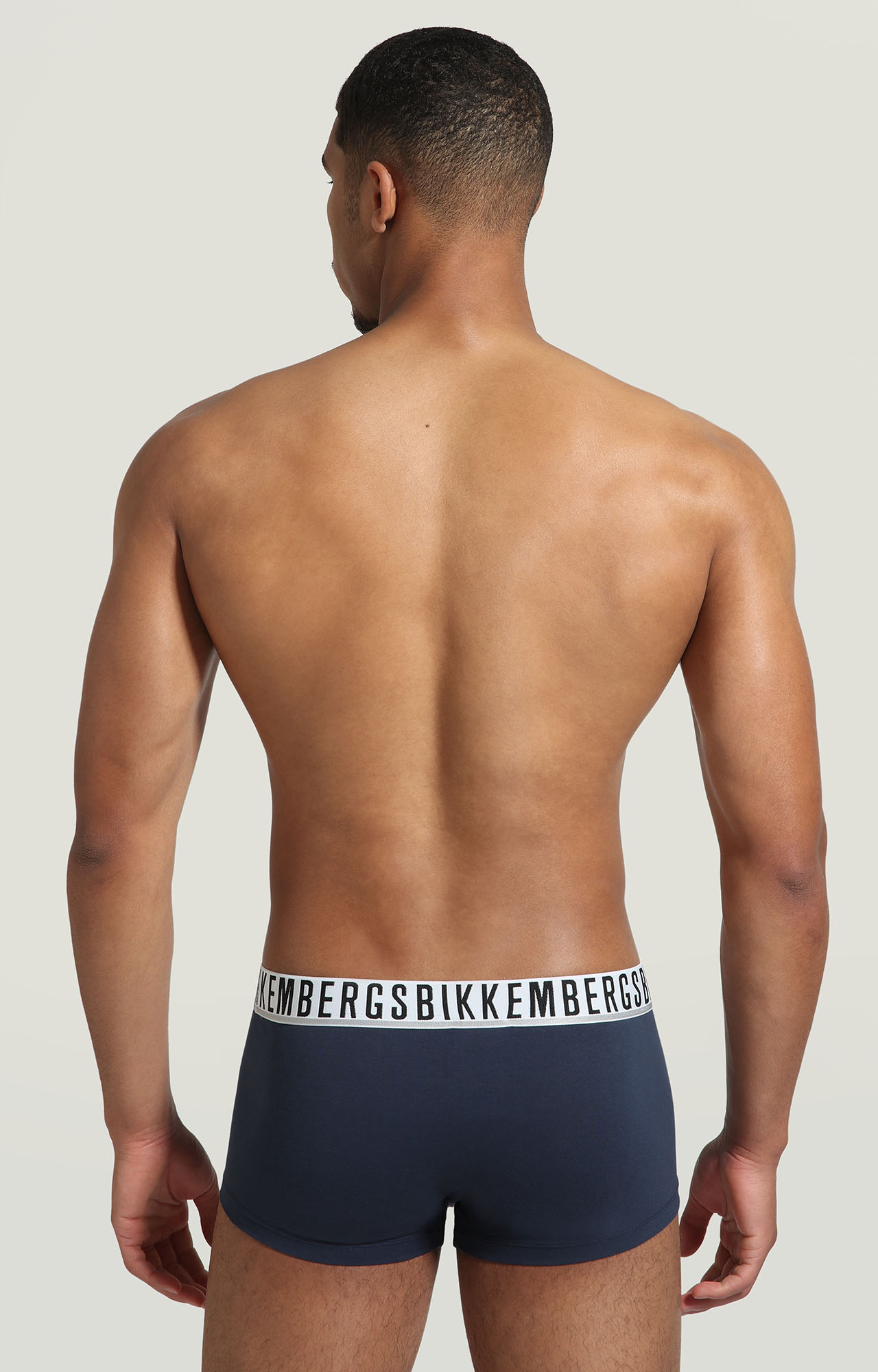 official alternate view