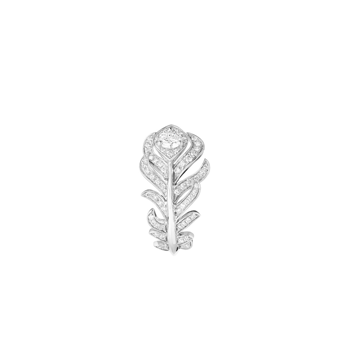 White-gold plume silhouette on a clean background