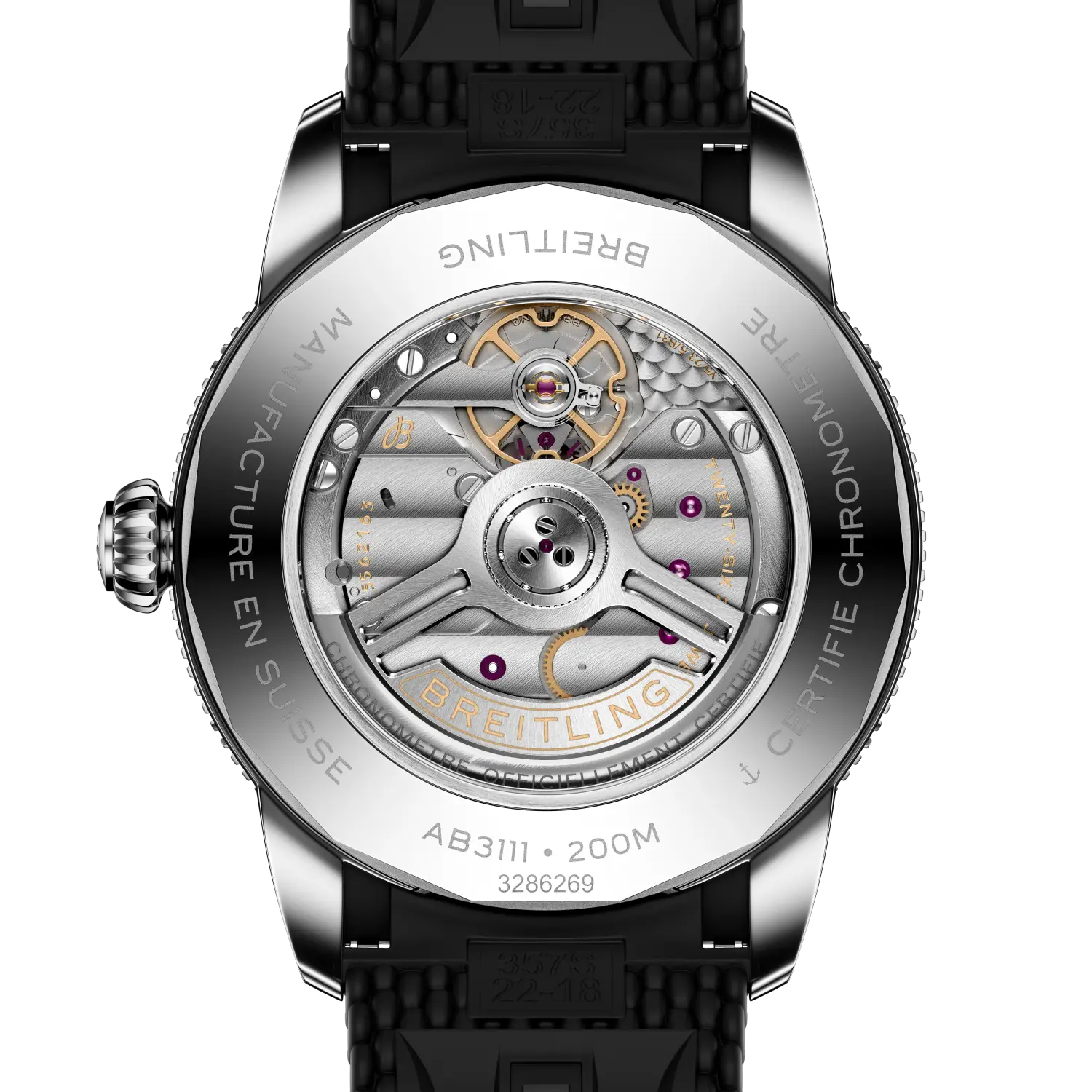 Display back showing the B31 automatic movement
