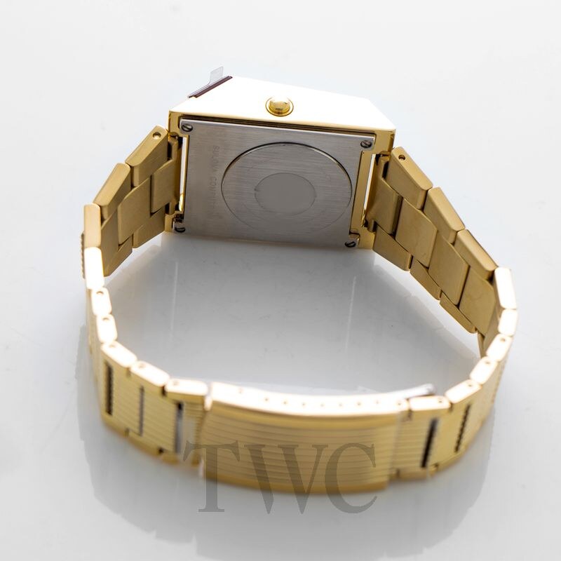 caseback or bracelet detail