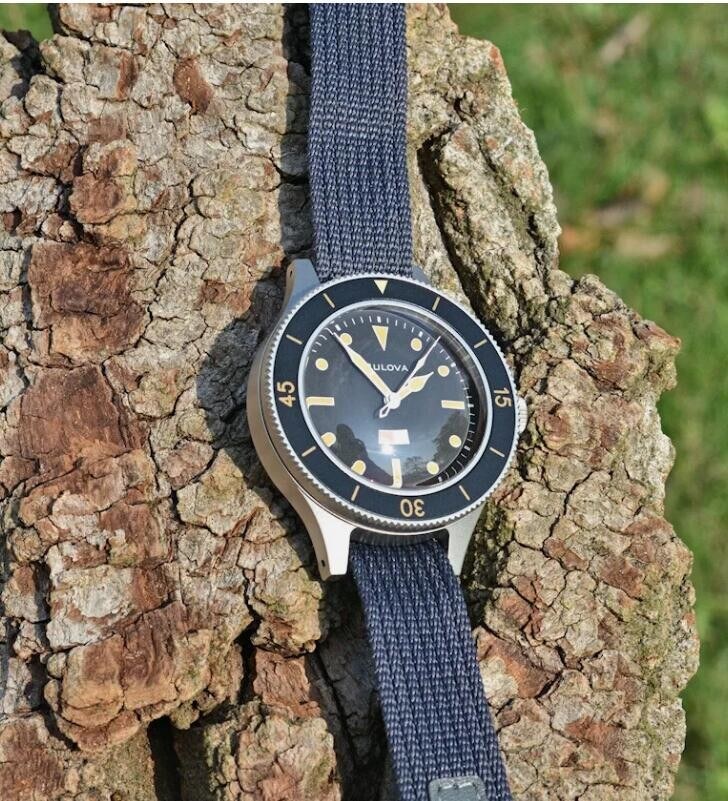 caseback or bracelet detail