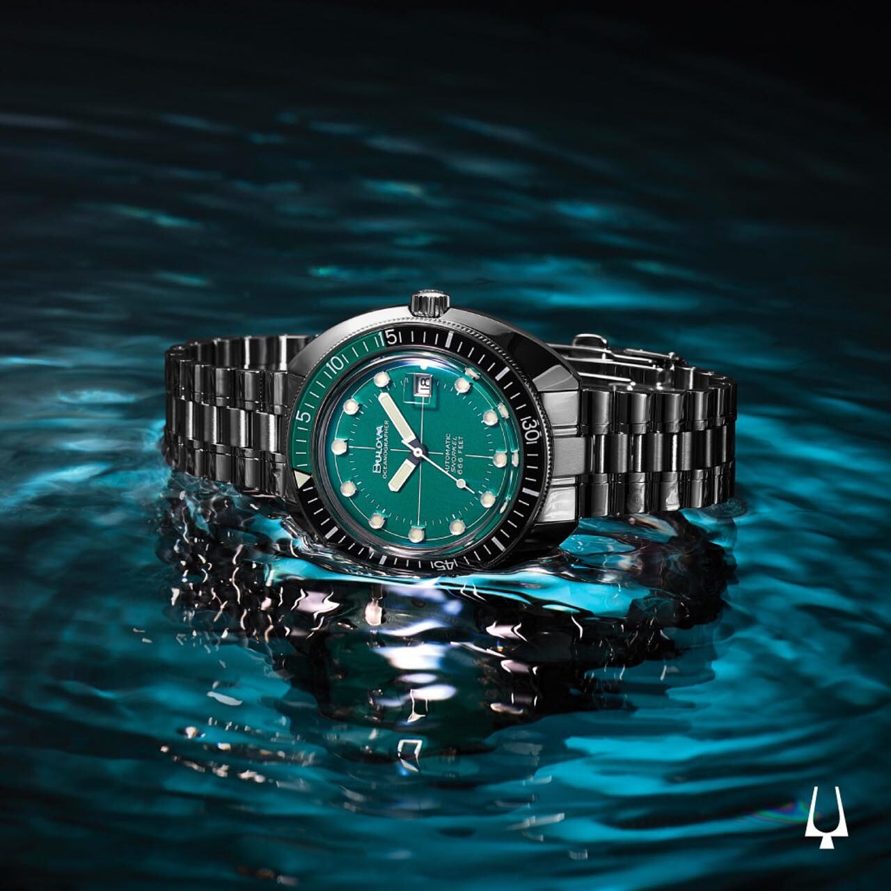 caseback or bracelet detail