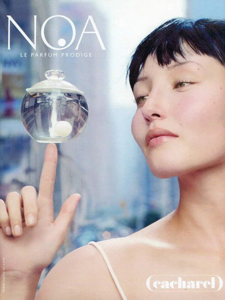 rounded Noa bottle profile