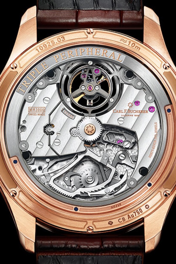 official caseback or reverse view