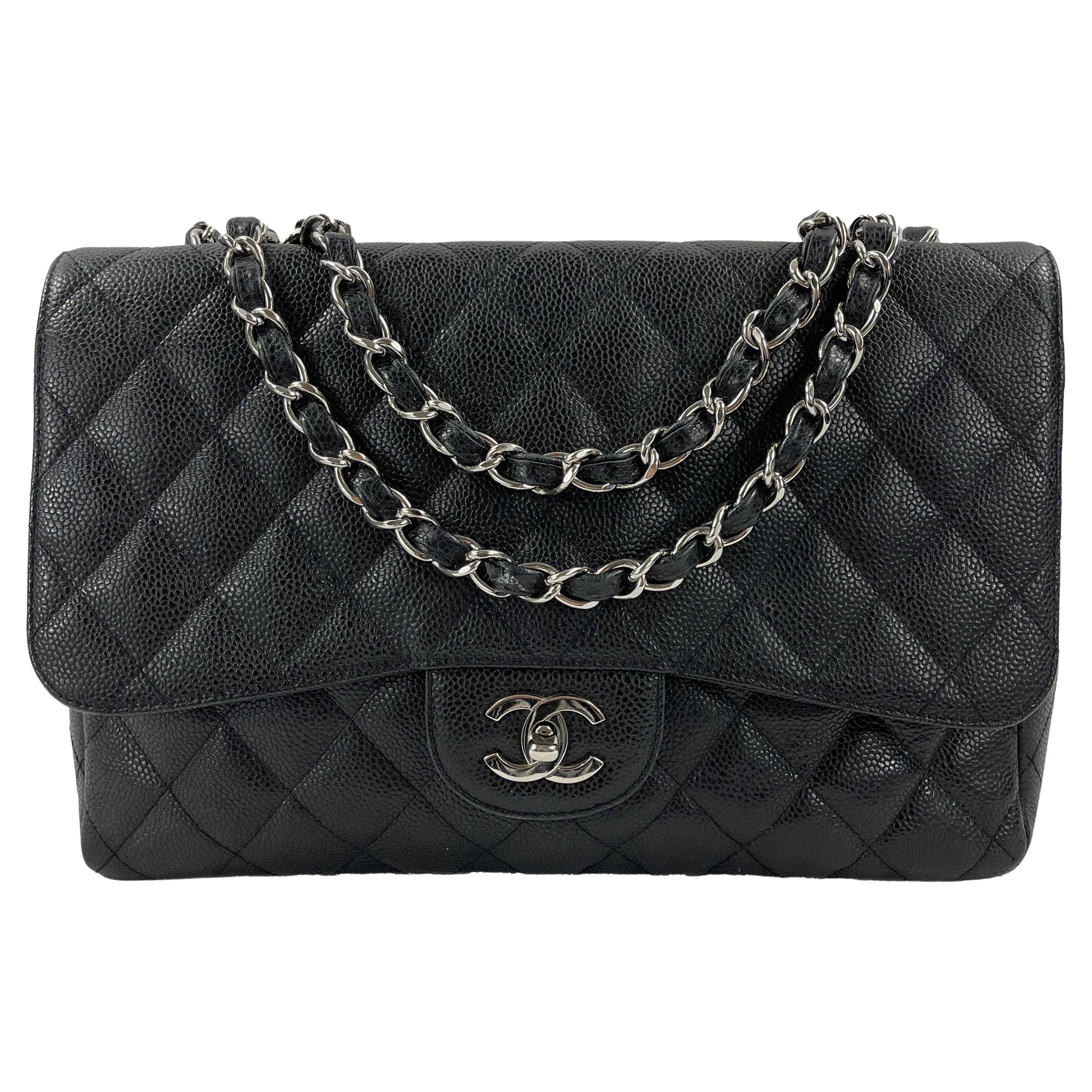 Jumbo in black caviar — the larger everyday proportion