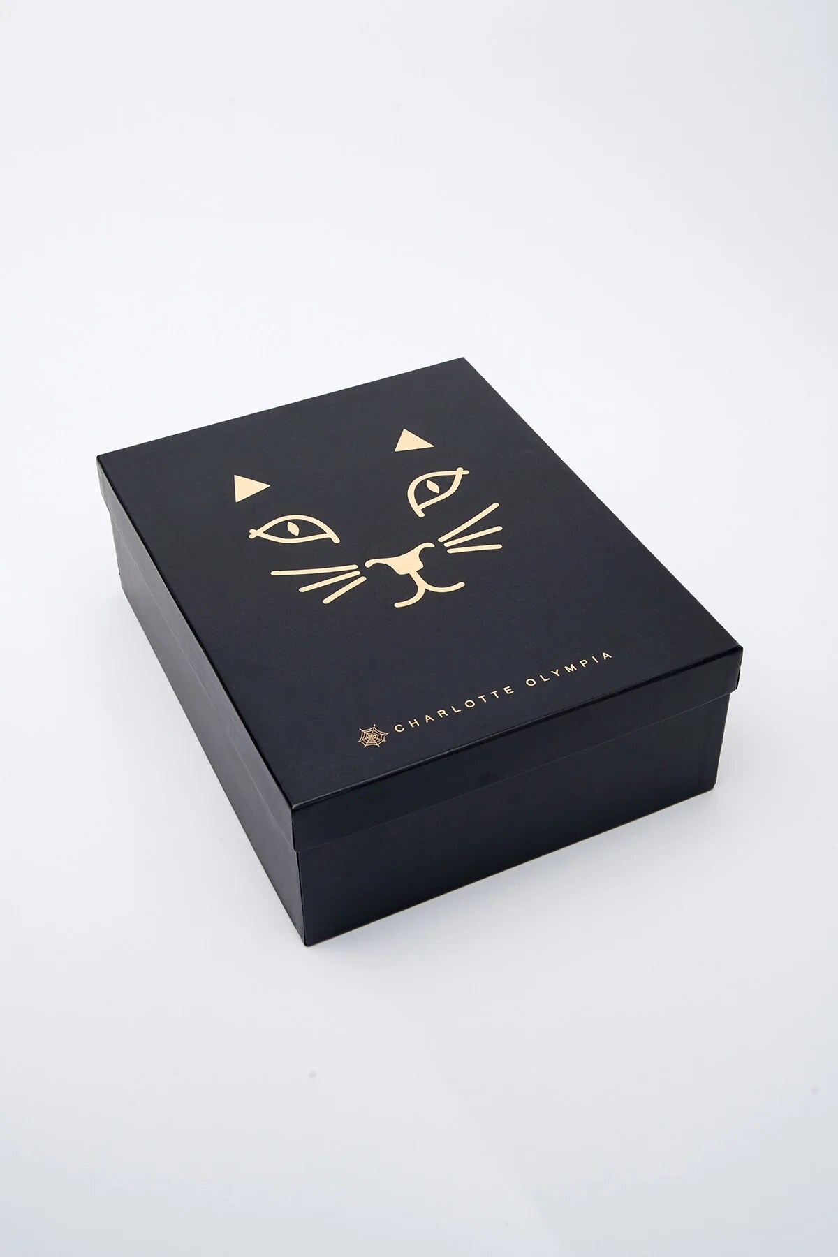 shoe box and dust bag