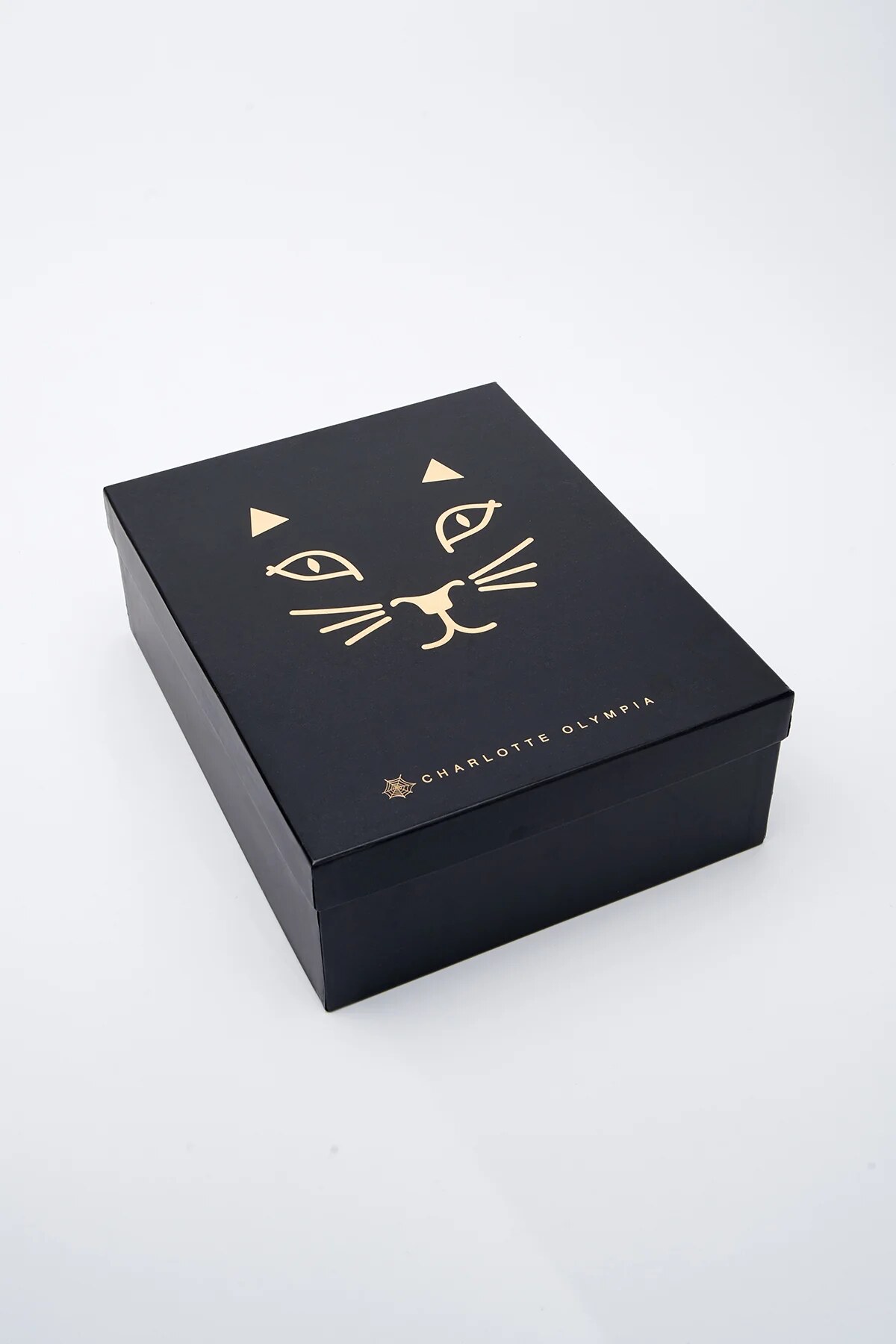 box and dust bag