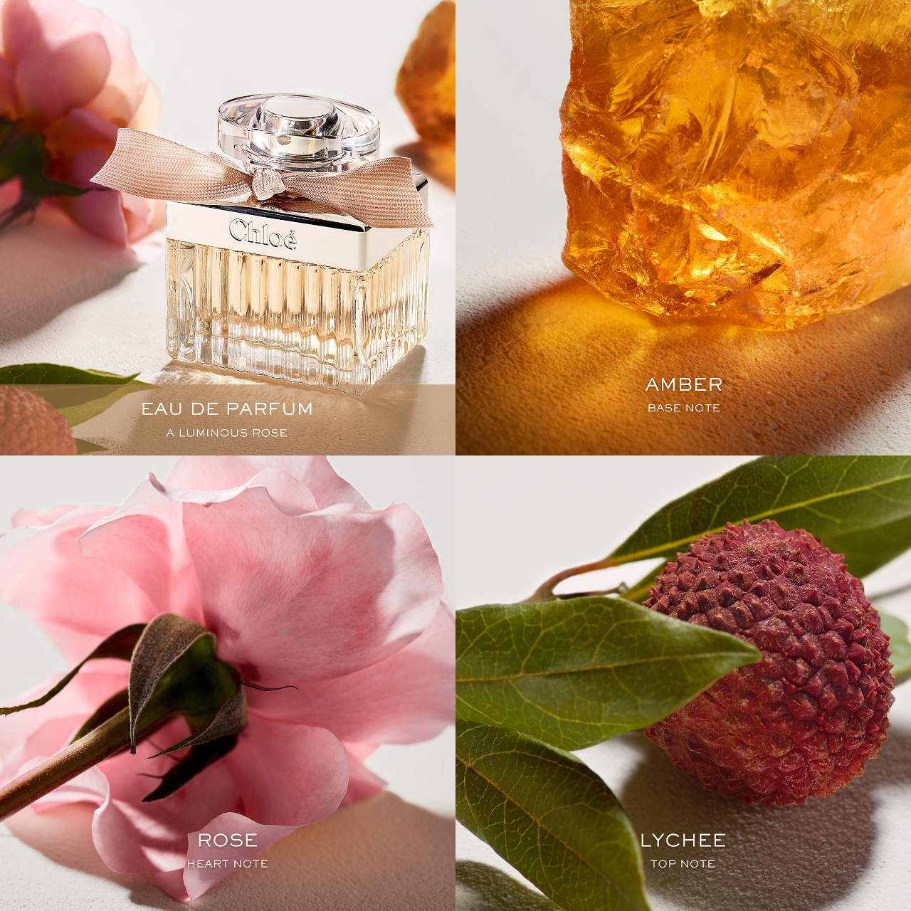 Fragrance notes — rose, lychee, amber