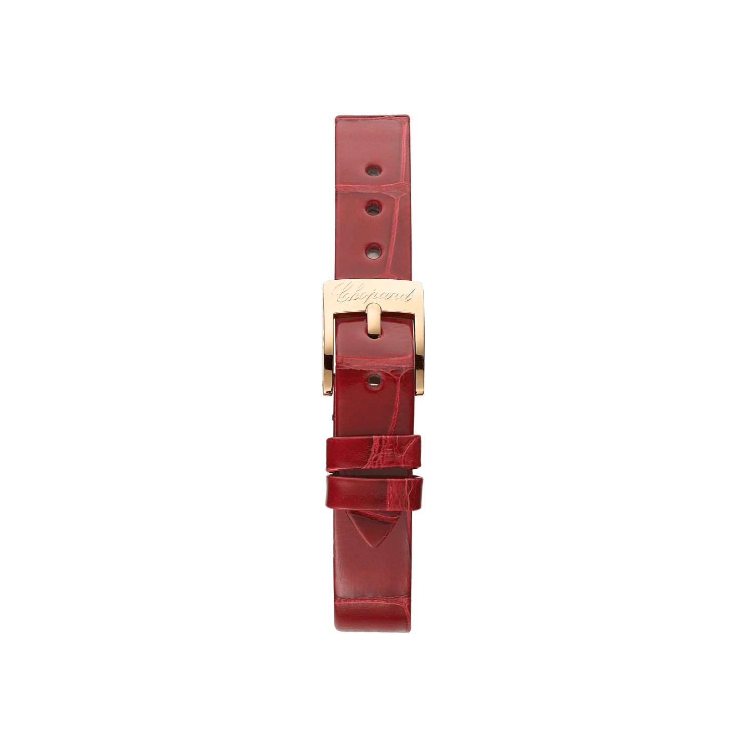 Back view of the bracelet and case
