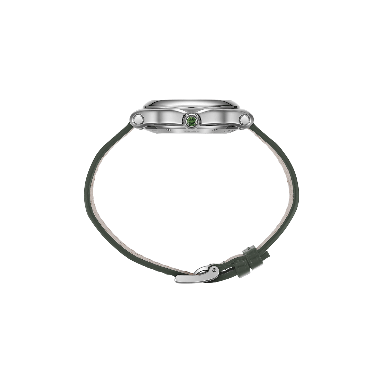 Side profile with crown and polished case line