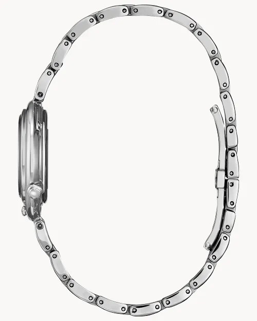 case and bracelet profile