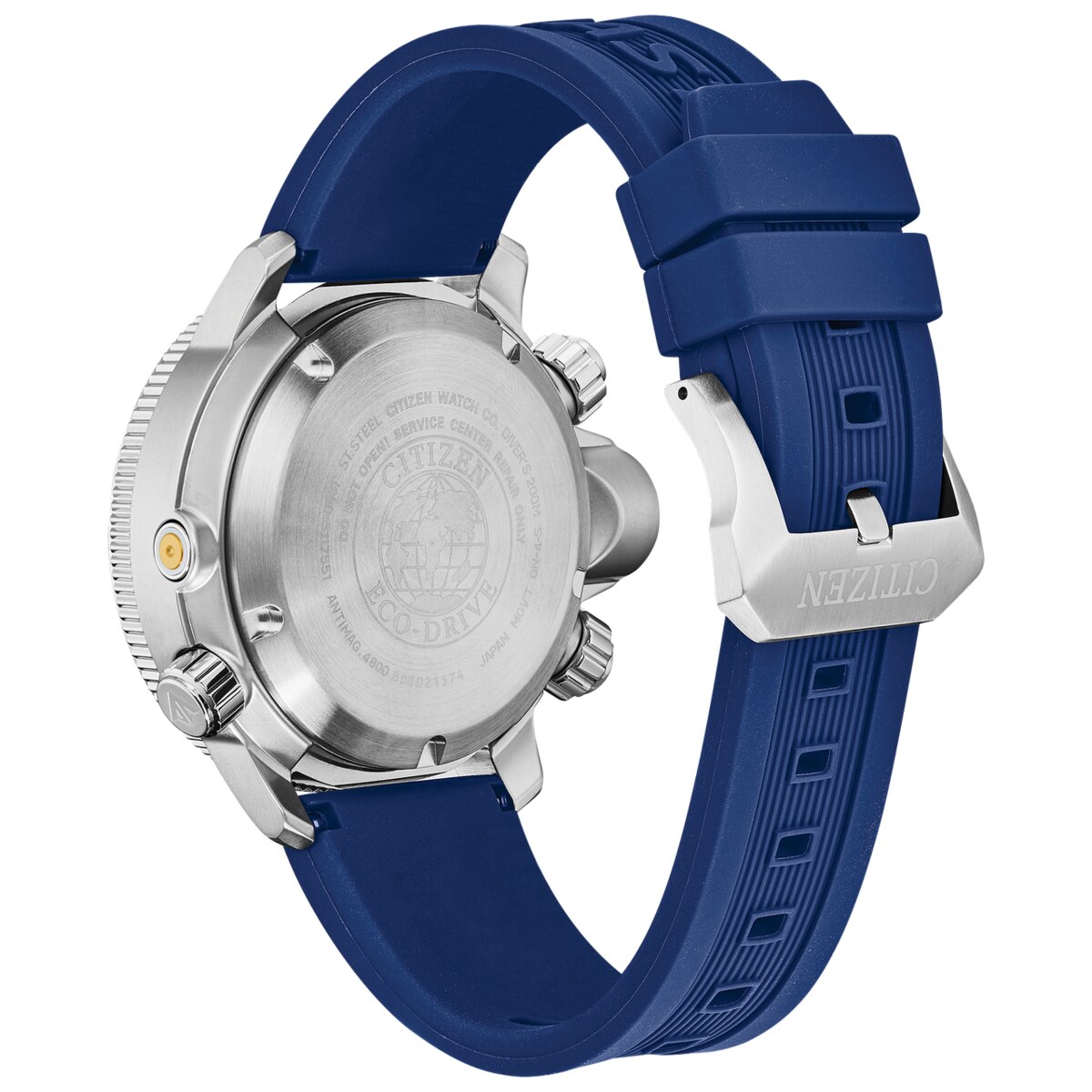 caseback and blue strap