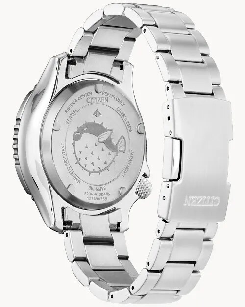 caseback and bracelet