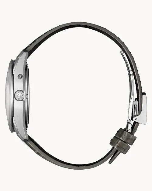 strap and case profile