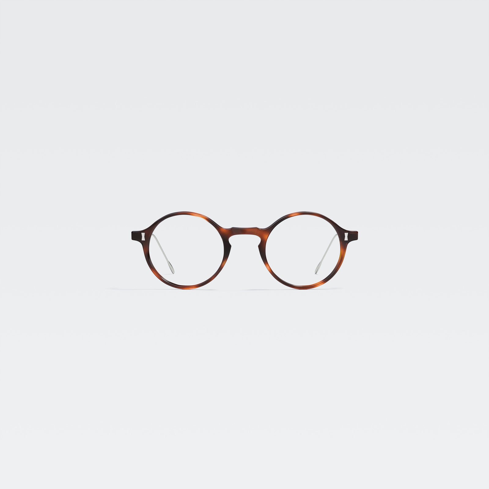 Werrington in Dark Turtle