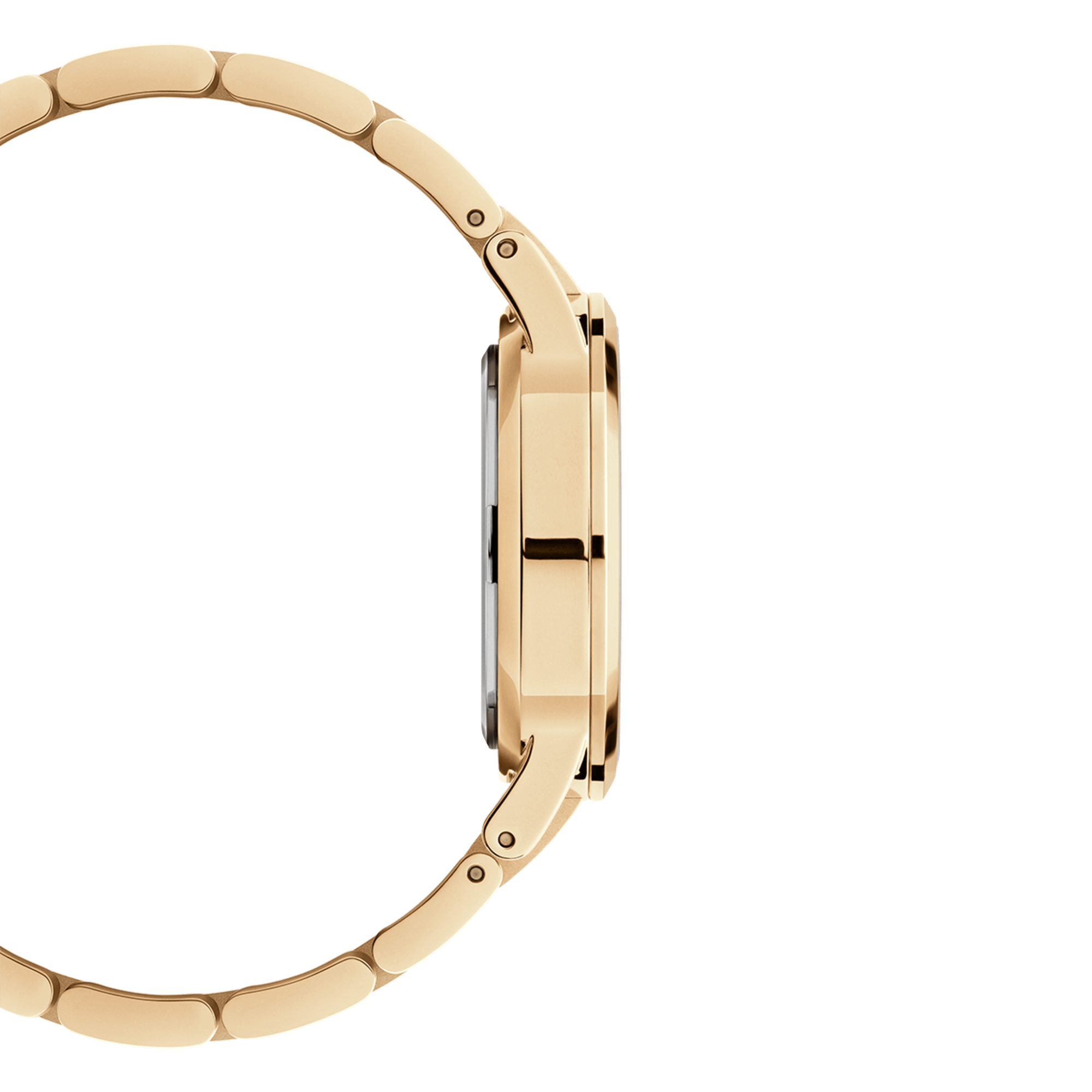 Iconic Link — packaging/detail view