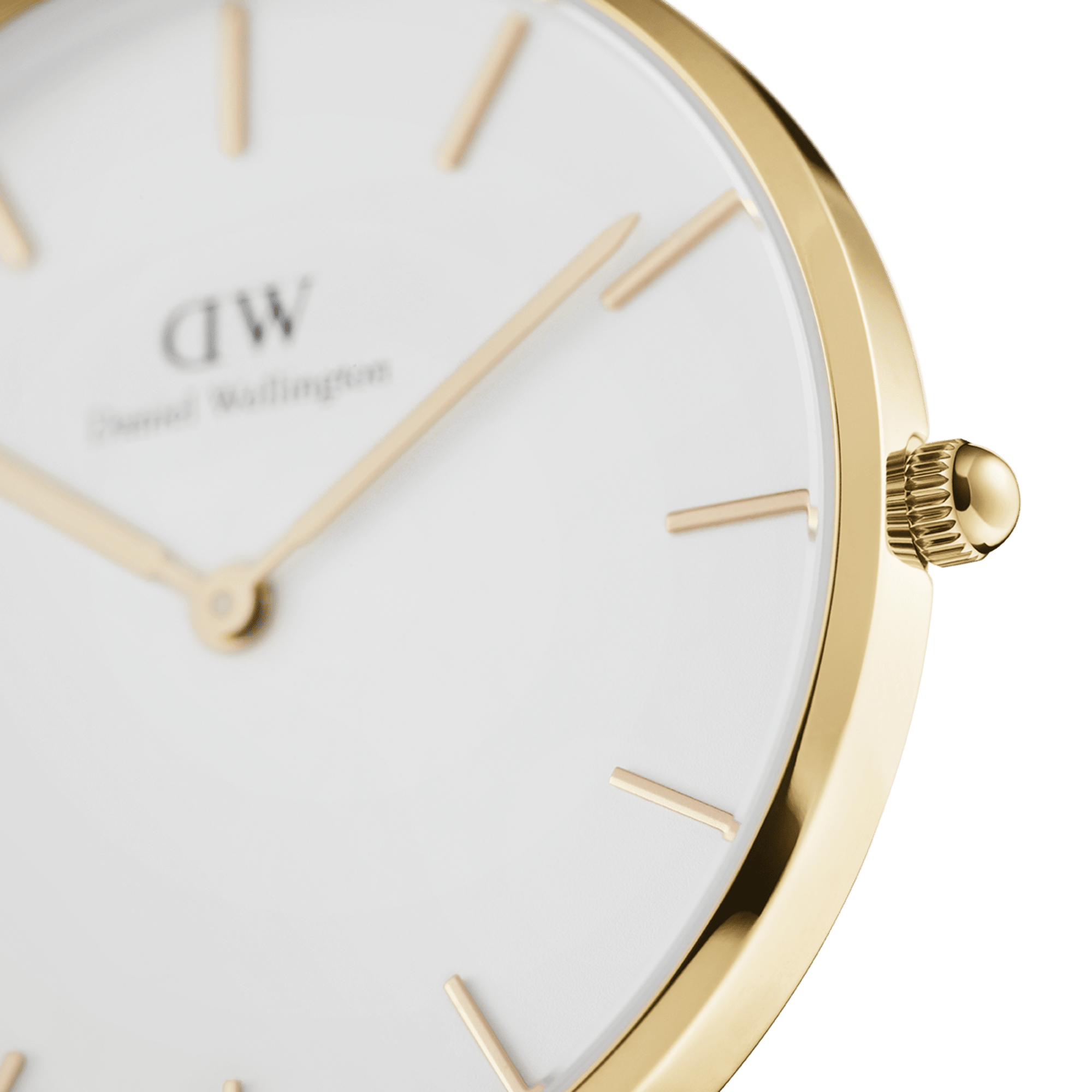Petite Evergold — wrist or scale view