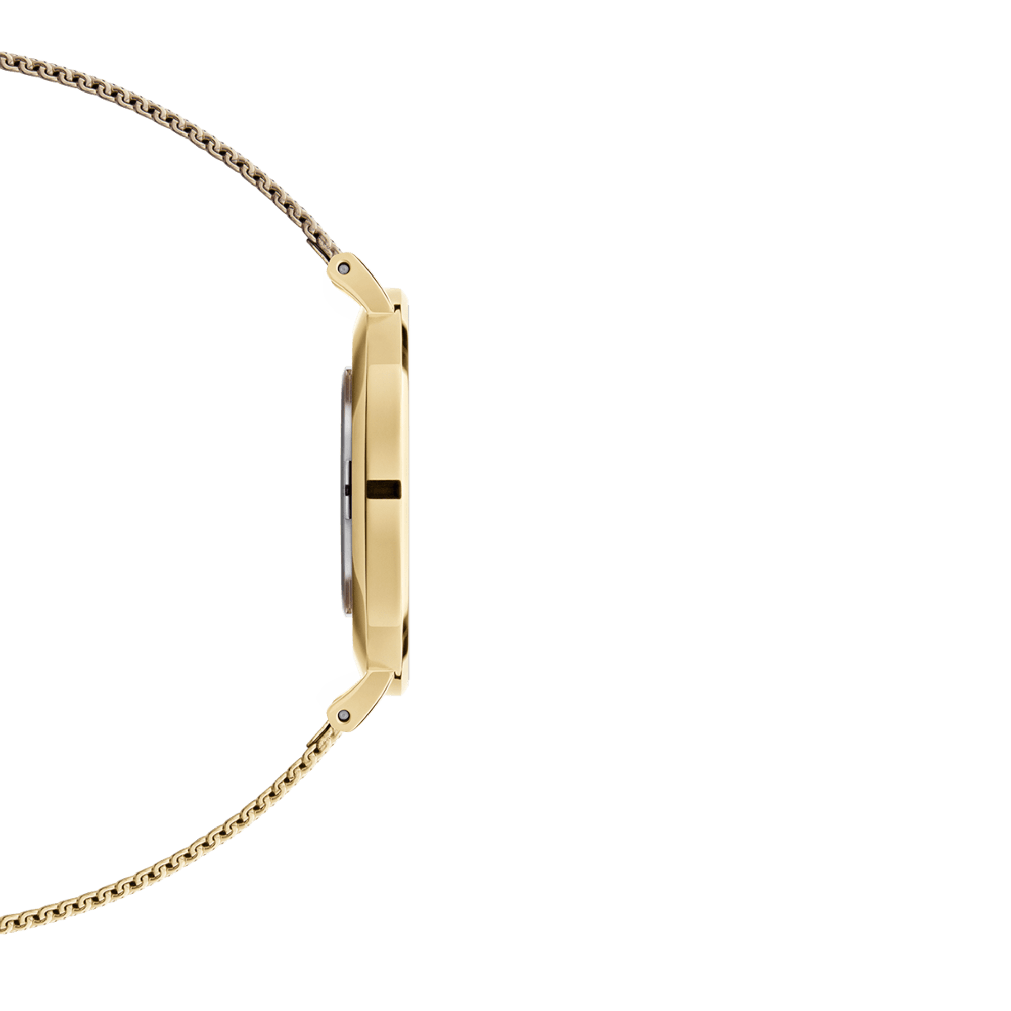 Petite Evergold — side/profile view
