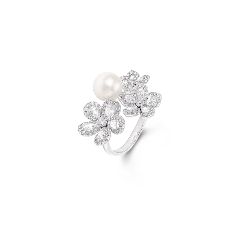 Miss Daisy Collection
