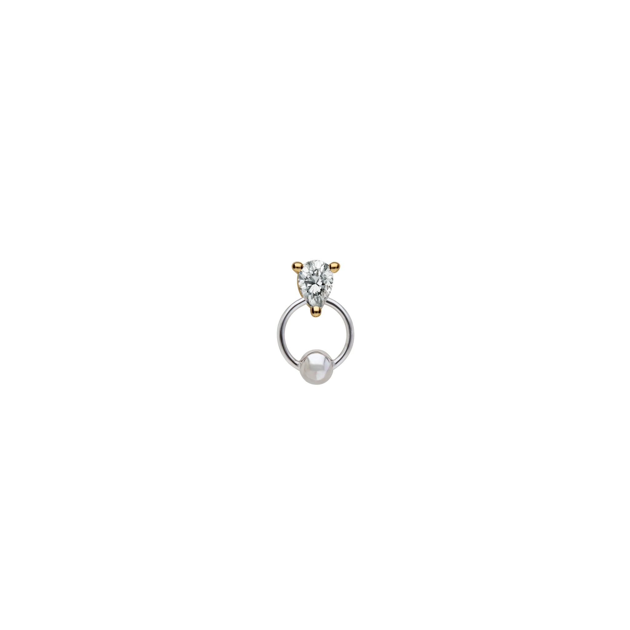 Two in One Earring